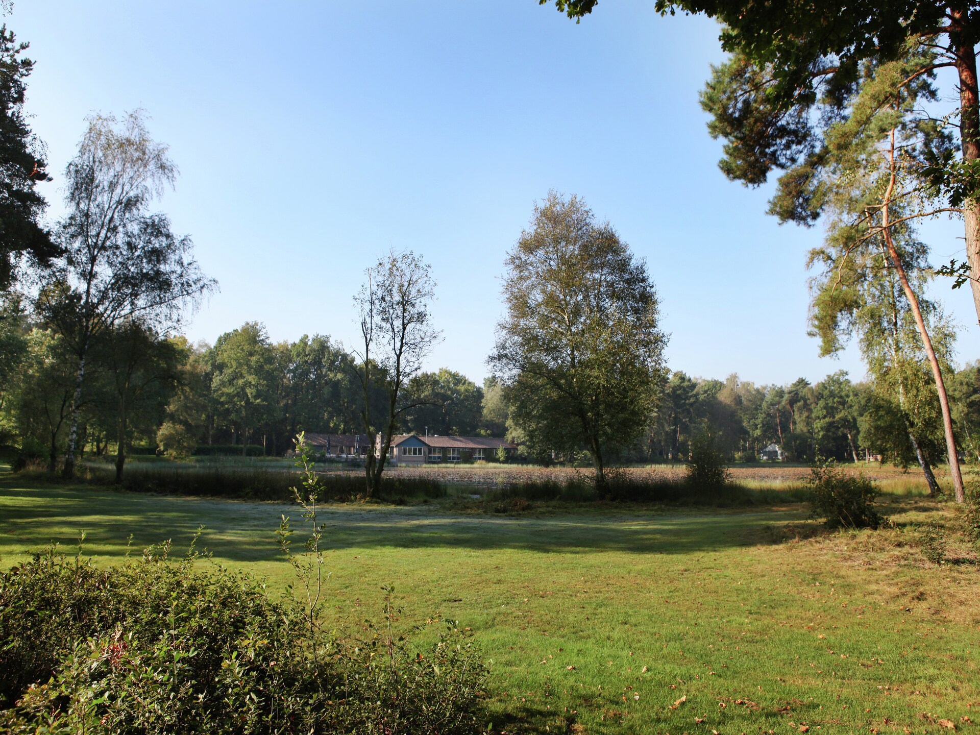 Knusse bosbungalow voor 3 personen in hartje natuurgebied Stramproy - foto 26