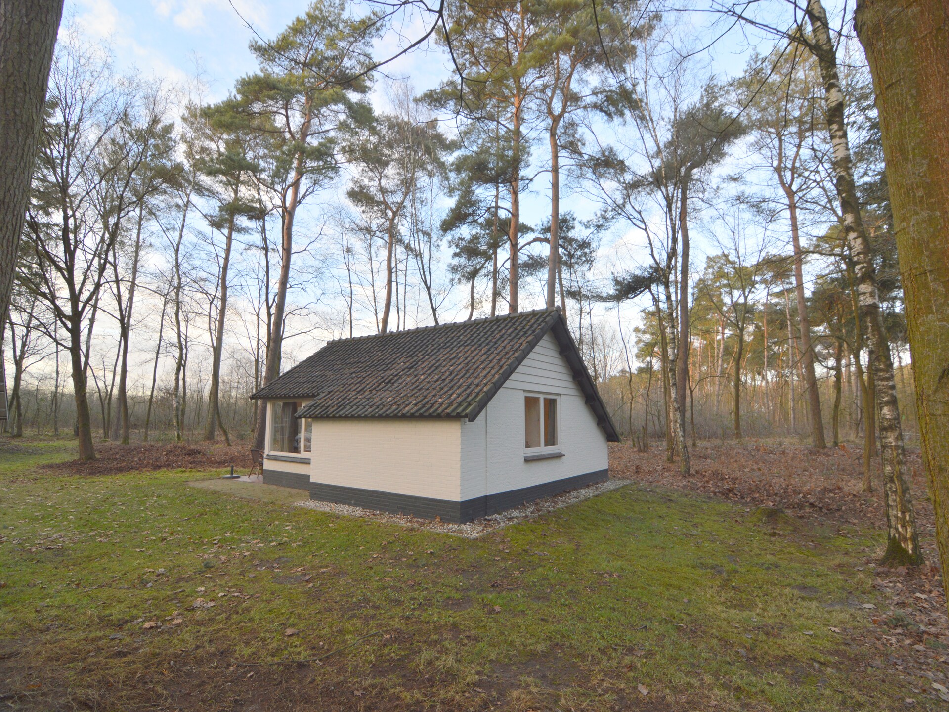 Knusse bosbungalow voor 3 personen in hartje natuurgebied Stramproy - foto 16