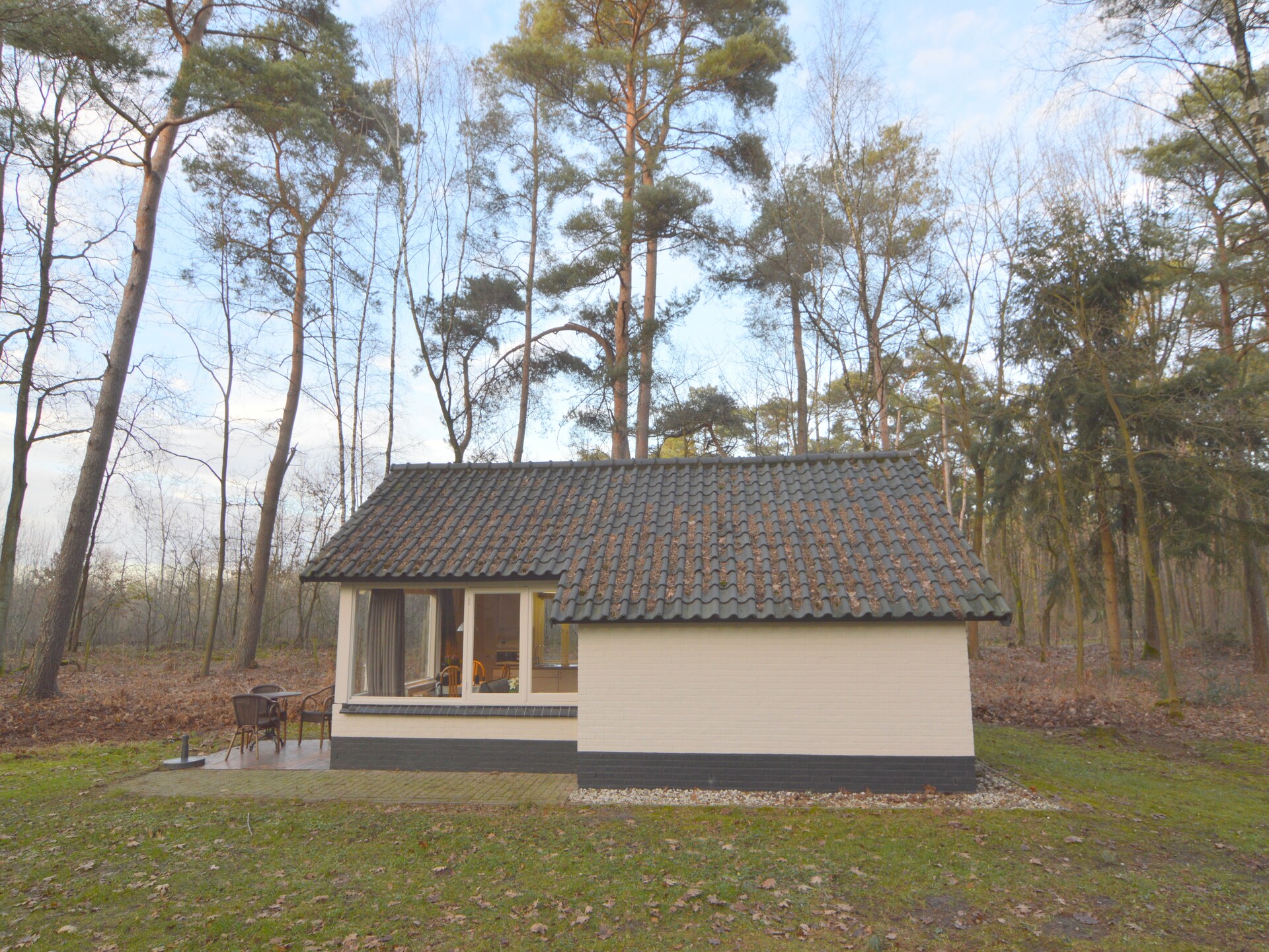 Knusse bosbungalow voor 3 personen in hartje natuurgebied Stramproy - foto 15