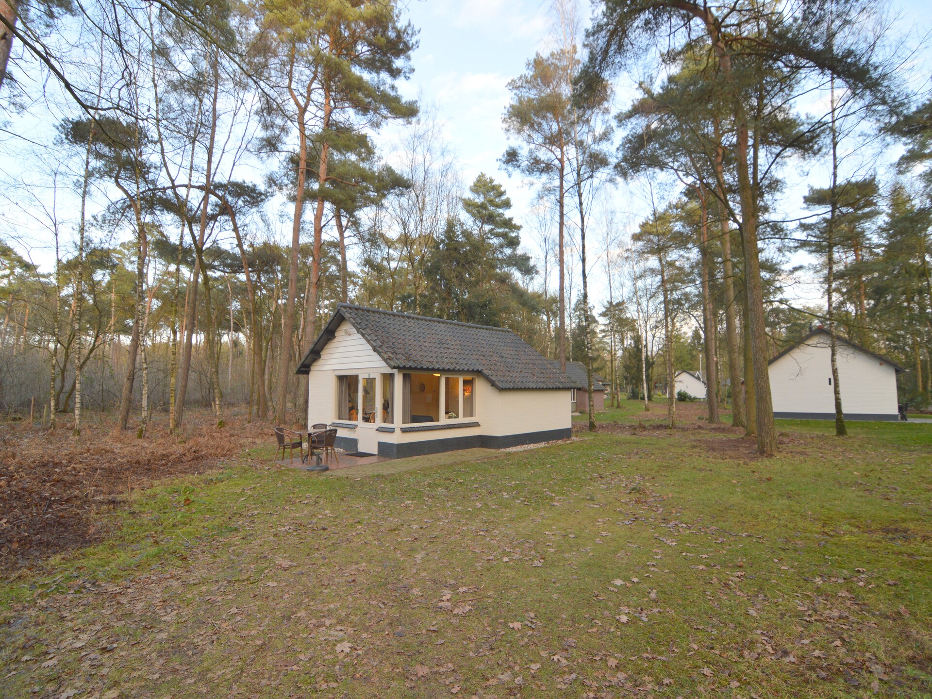 Knusse bosbungalow voor 3 personen in hartje natuurgebied Stramproy - foto 19