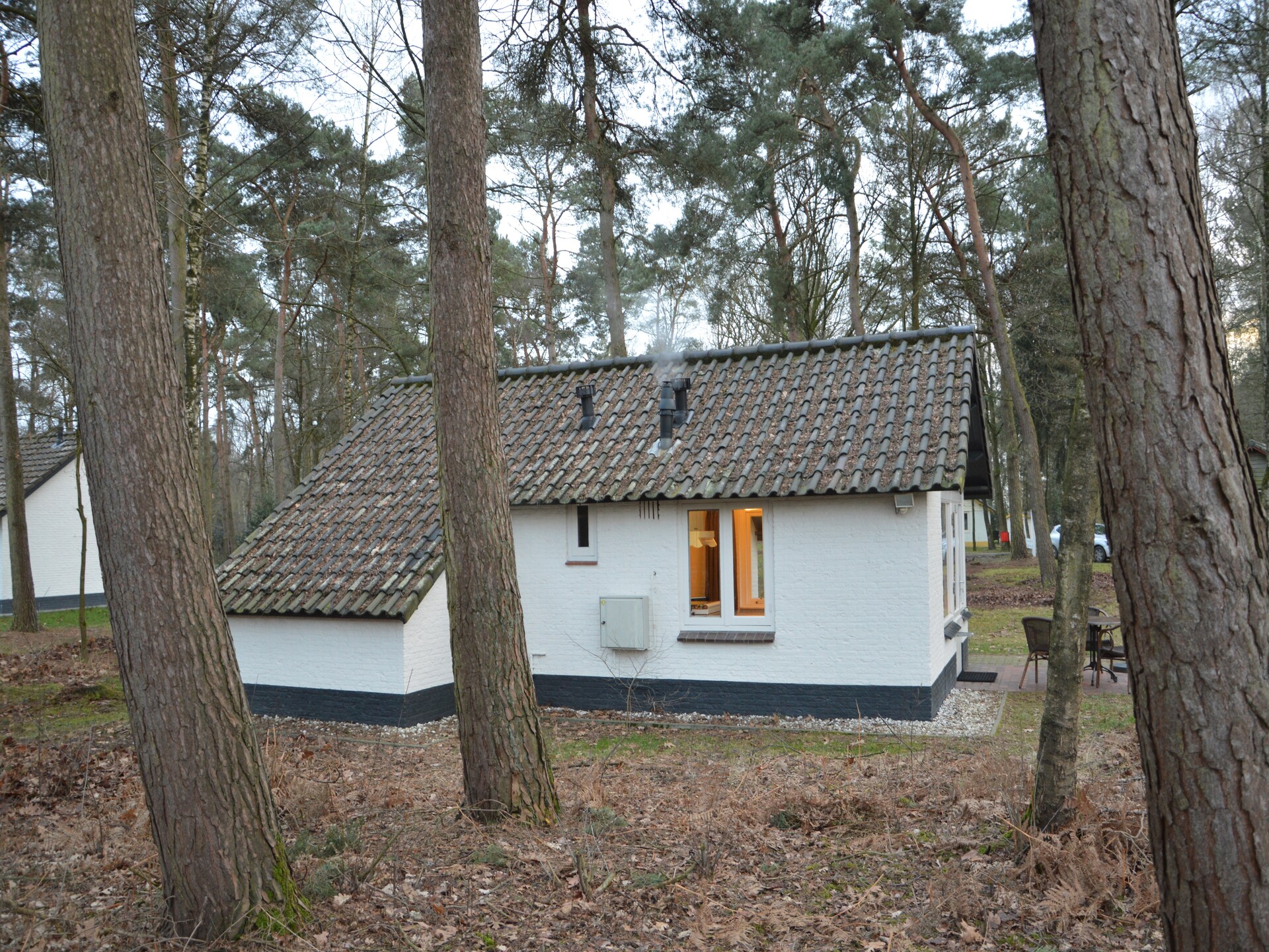 Knusse bosbungalow voor 3 personen in hartje natuurgebied Stramproy - foto 17