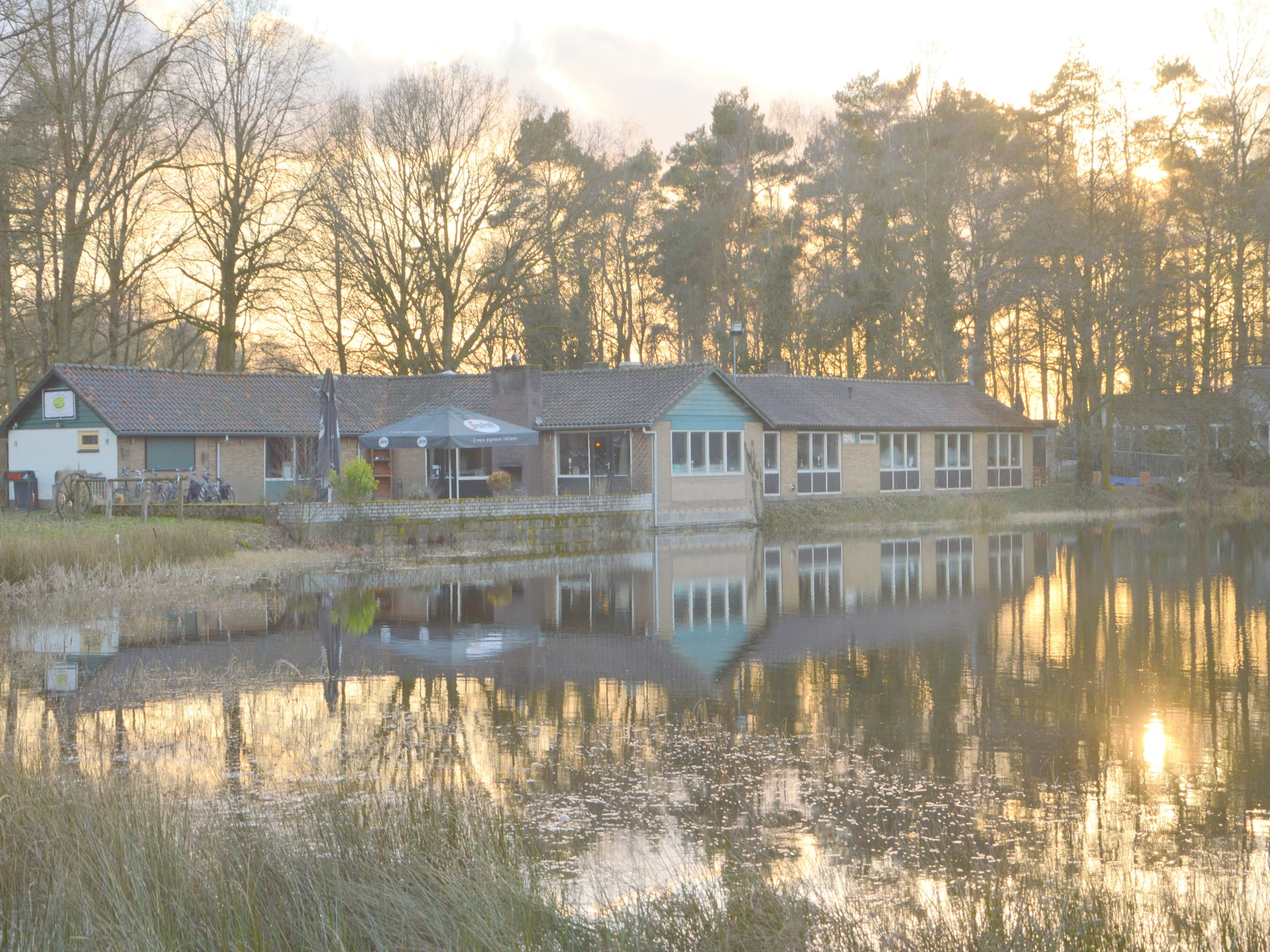 Knusse bosbungalow voor 3 personen in hartje natuurgebied Stramproy - foto 21