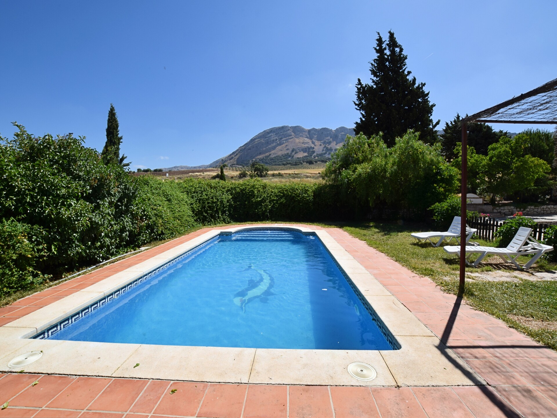 Cortijo Los Alazores: authentieke Andalusische villa met zwembad in de bergen - foto 2