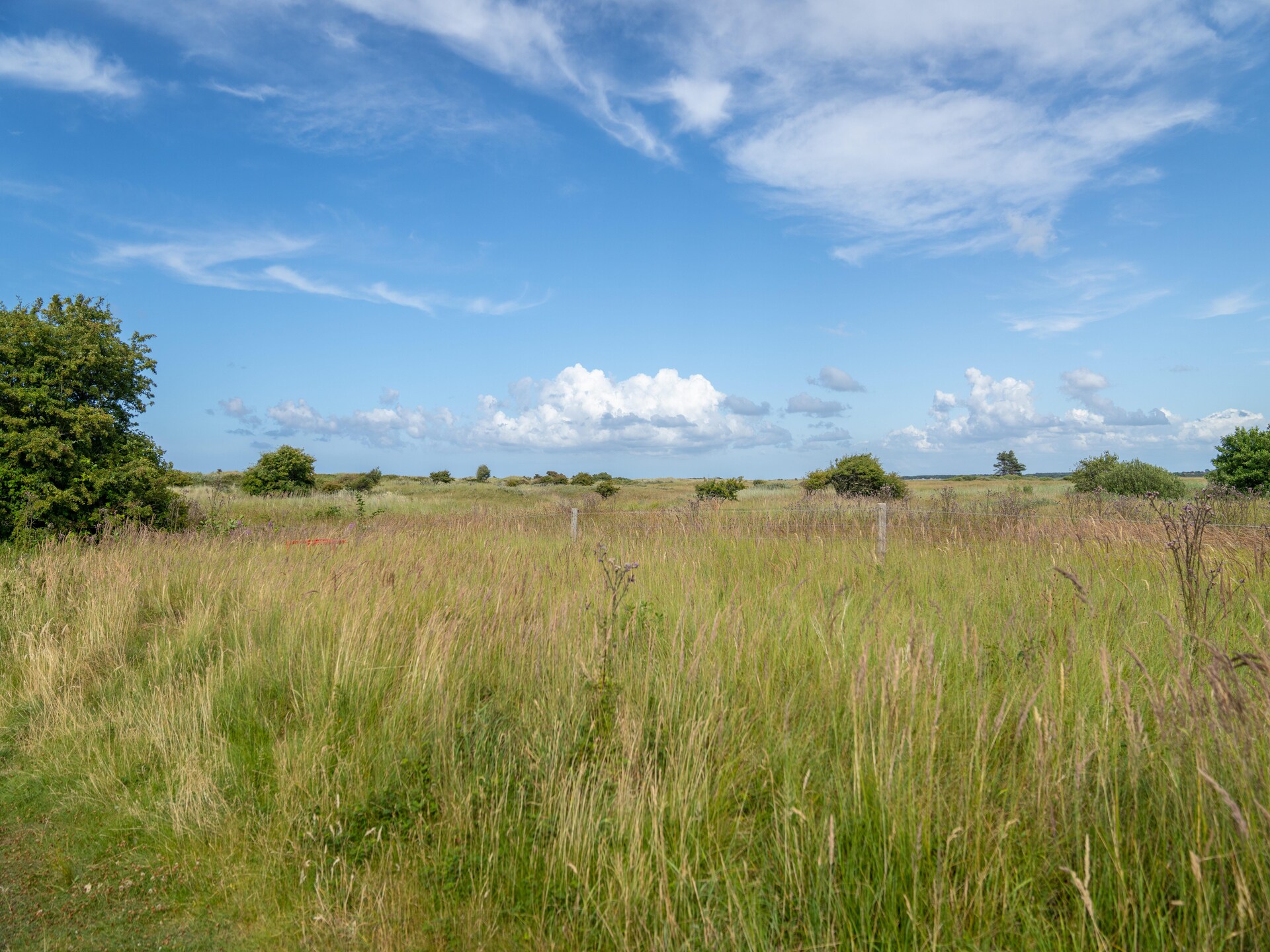 Bungalow Boomhiemke 9: strand, duinen en huisdiervriendelijk genieten op Ameland - foto 27