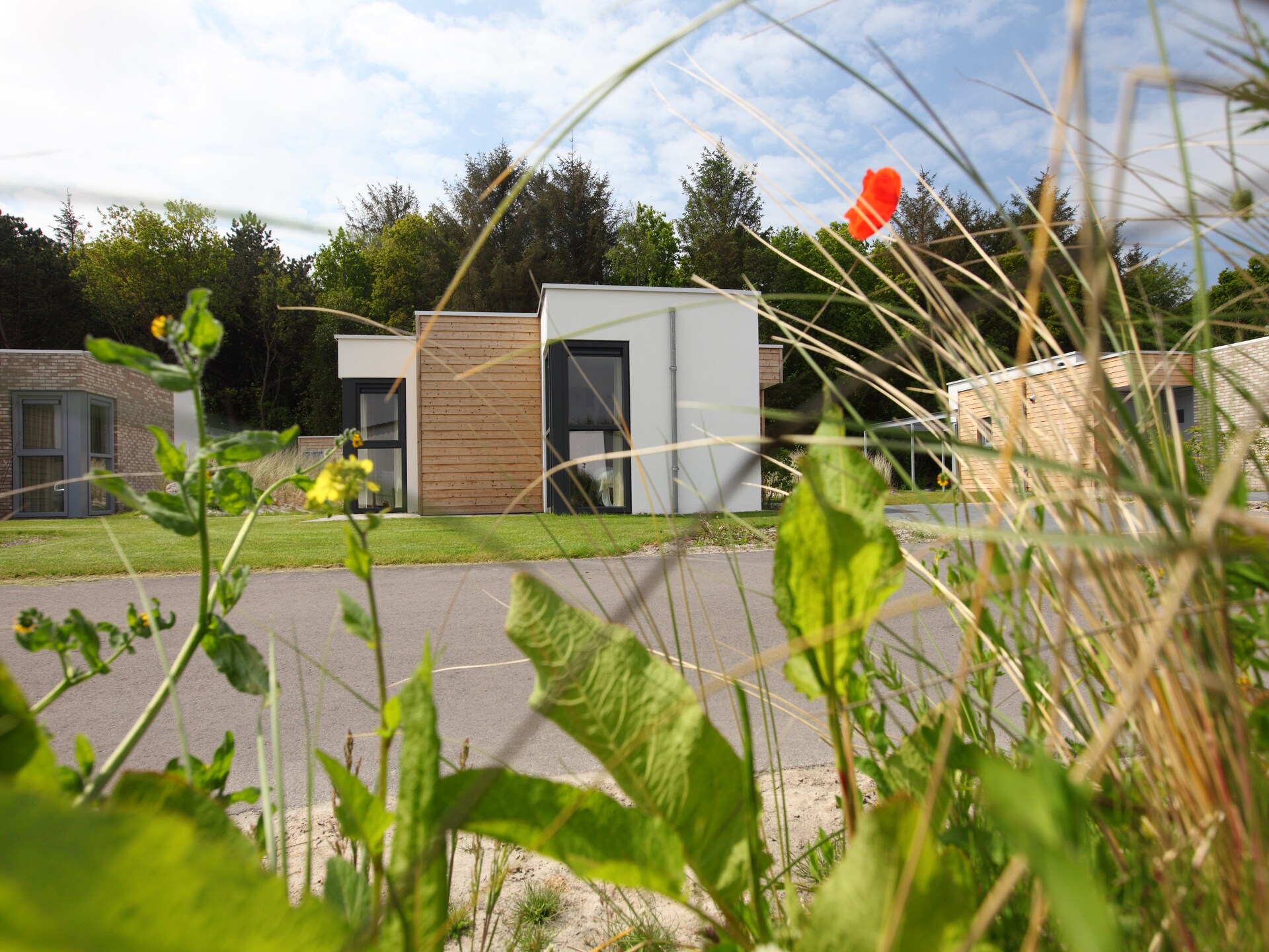 Vrijstaand vakantiehuis met tuin in Kustpark Texel, huisdieren welkom - foto 14