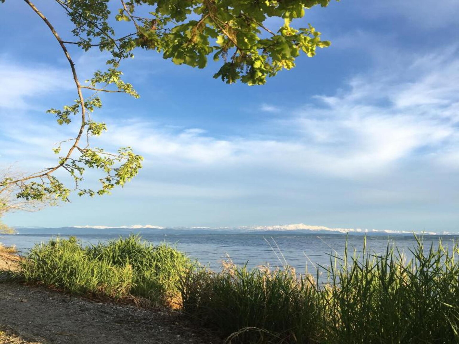 Licht appartement in Ahausen met tuin, vlakbij bos en op 6 km van het meer - foto 22