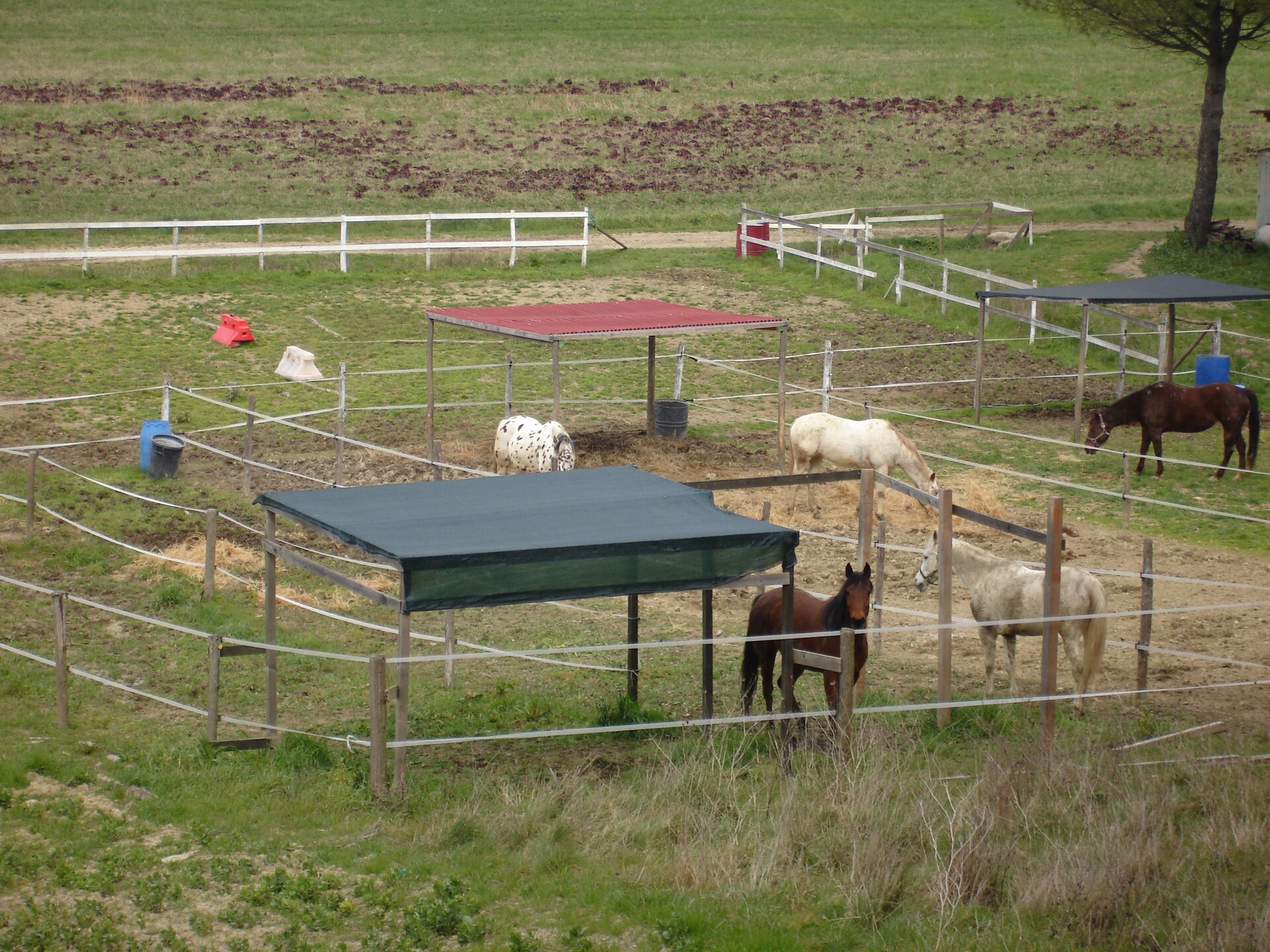 Authentieke Toscaanse boerderij met zwembad nabij Pisa en zee - foto 37