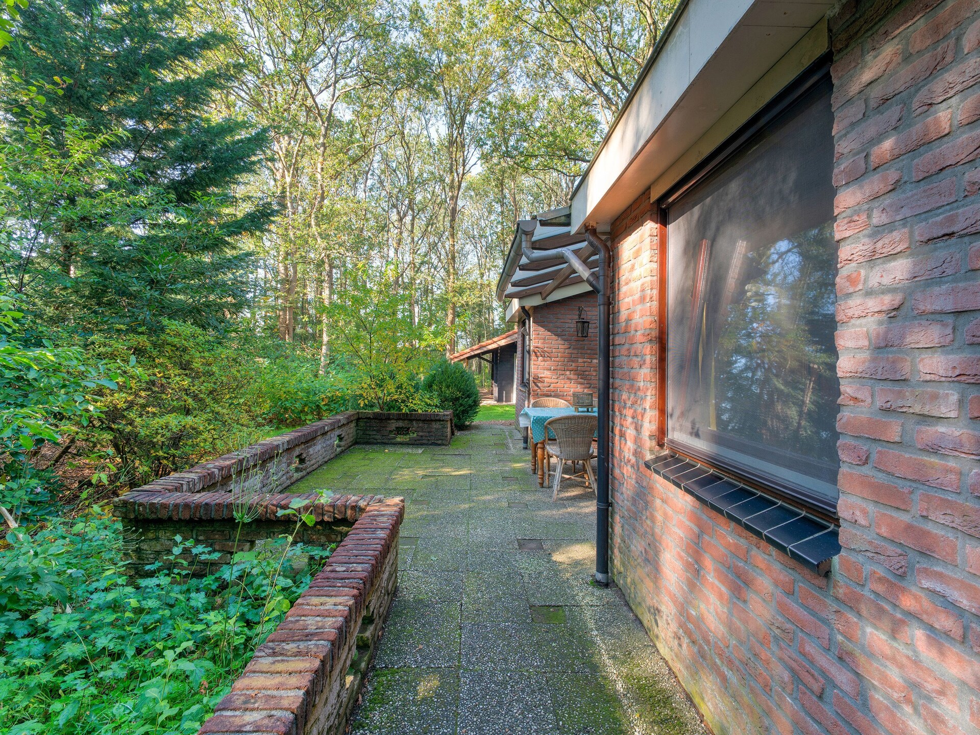 The Forest Cottage: sfeervol boshuisje aan Drents-Friese Wold - foto 26