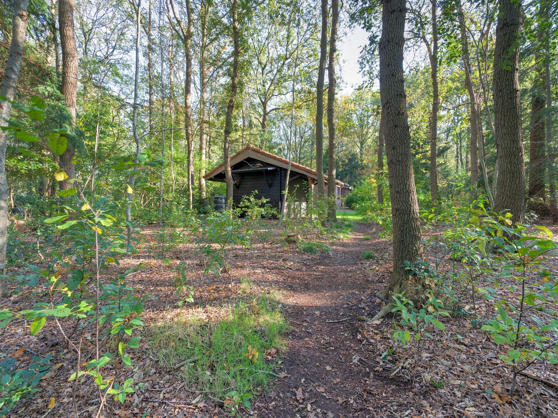 The Forest Cottage: sfeervol boshuisje aan Drents-Friese Wold - foto 29