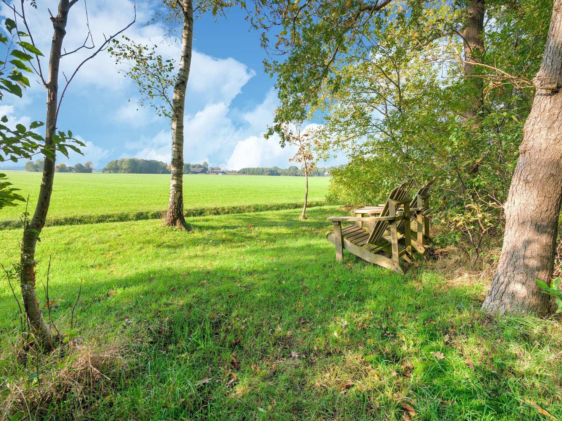 The Forest Cottage: sfeervol boshuisje aan Drents-Friese Wold - foto 32