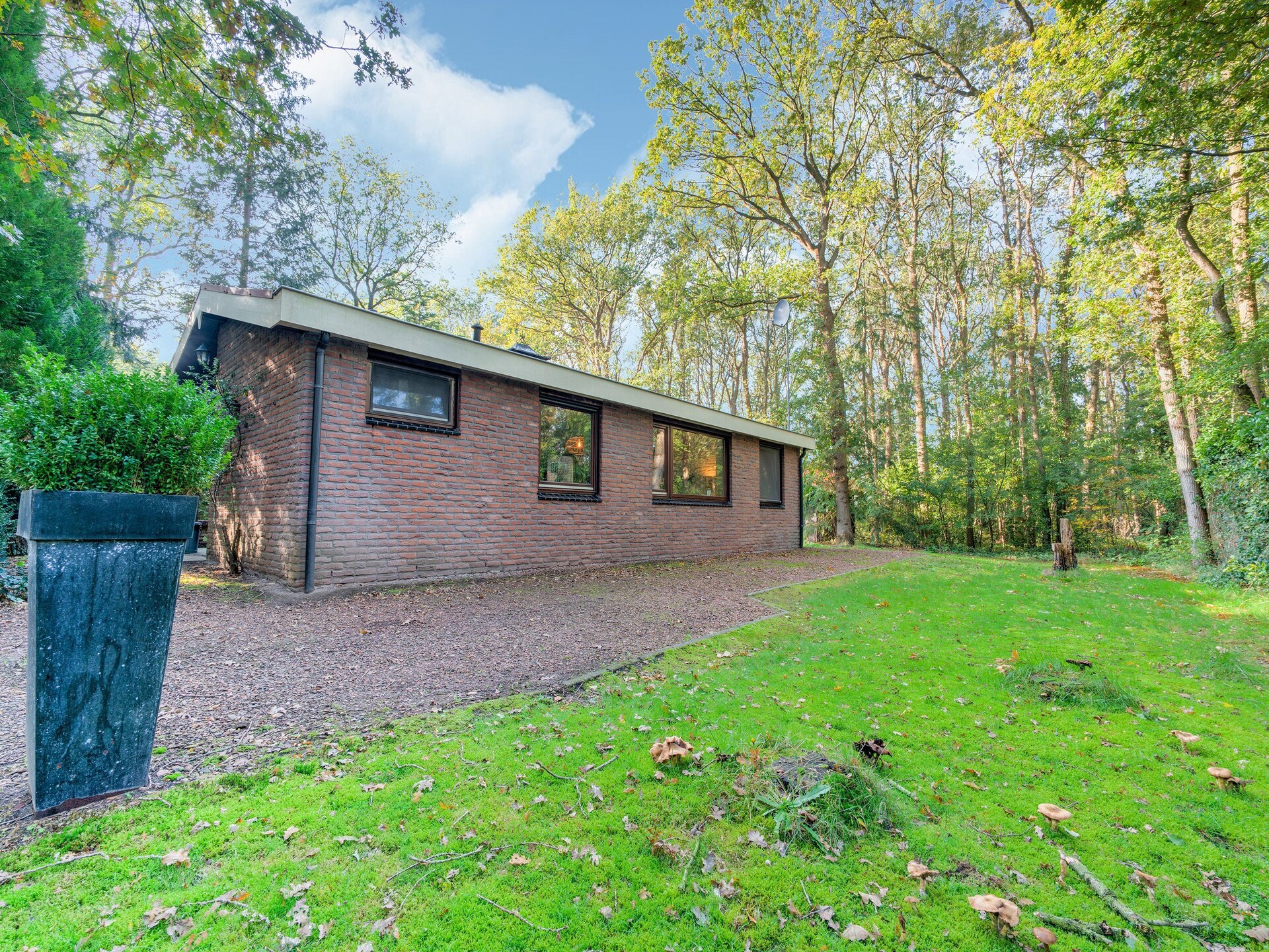 The Forest Cottage: sfeervol boshuisje aan Drents-Friese Wold - foto 9