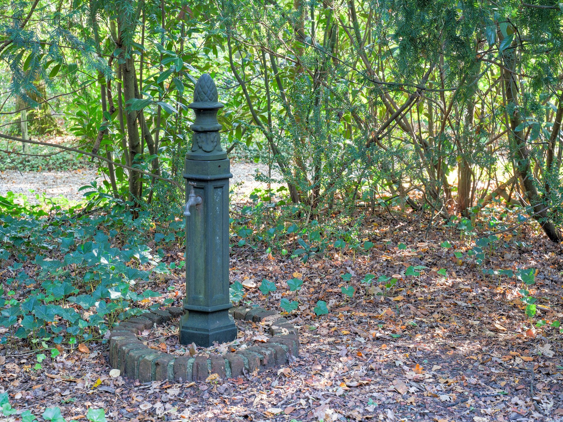 The Forest Cottage: sfeervol boshuisje aan Drents-Friese Wold - foto 31