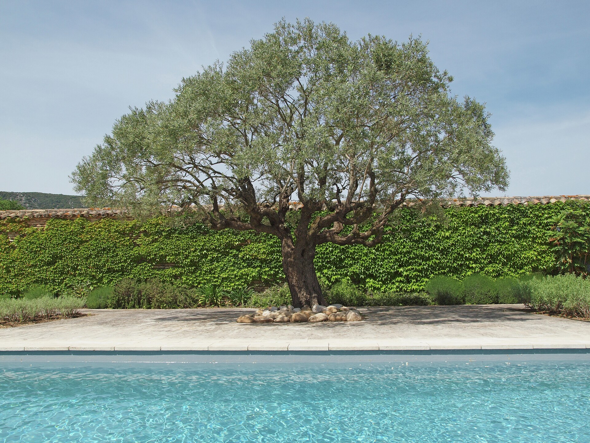 Mas Opideum: Authentieke Provencaalse villa met privézwembad nabij golfbaan - foto 8