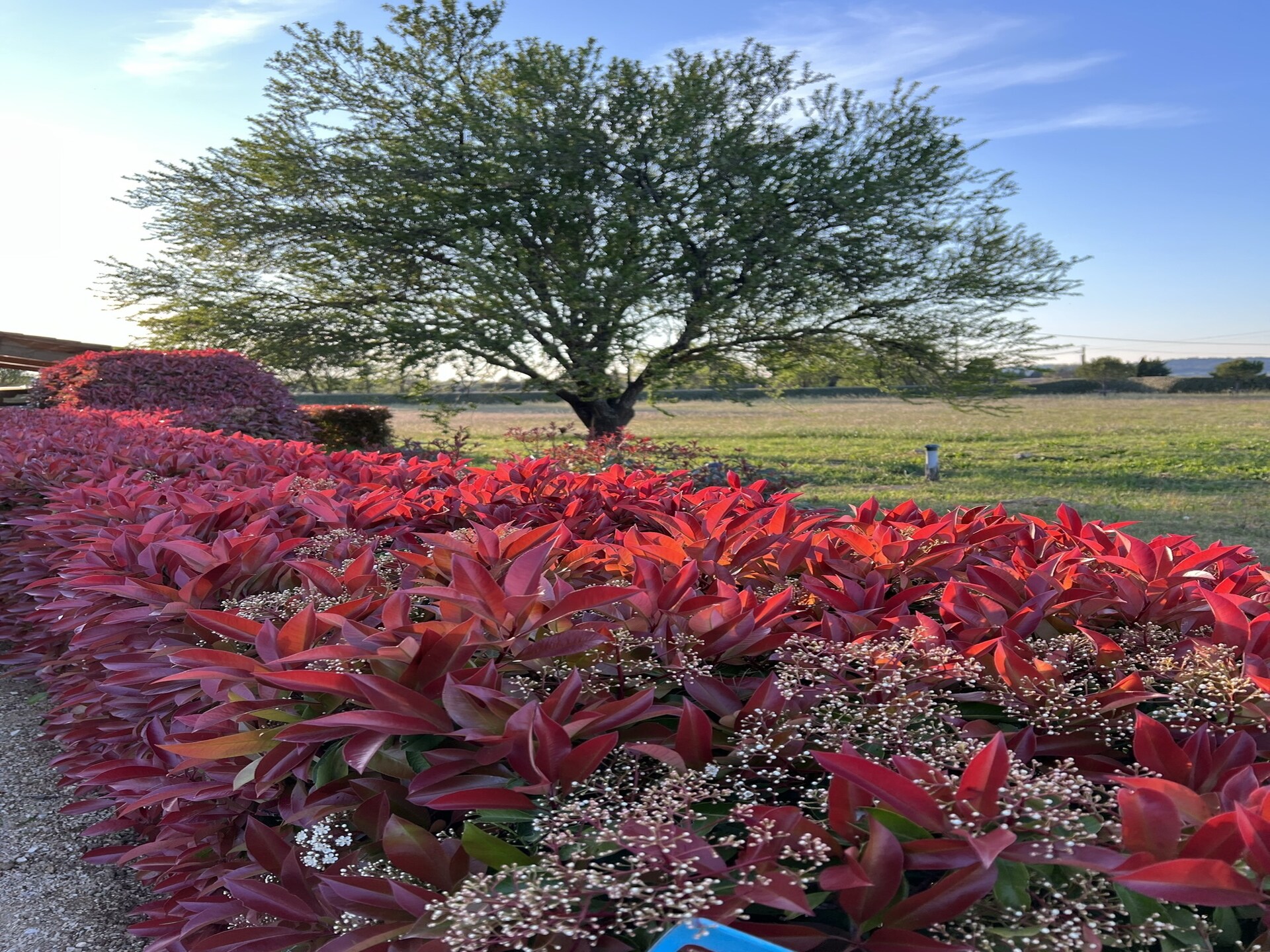 Mas Opideum: Authentieke Provencaalse villa met privézwembad nabij golfbaan - foto 37