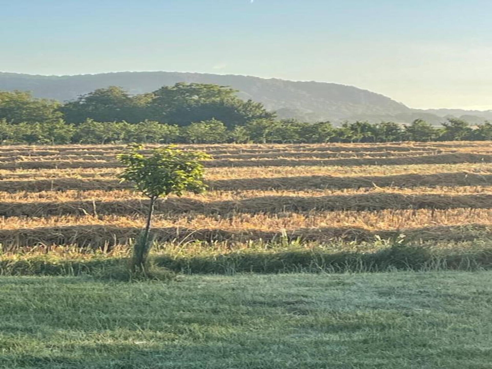 Knus landhuis met privézwembad aan de golfbaan in Vézac - foto 35