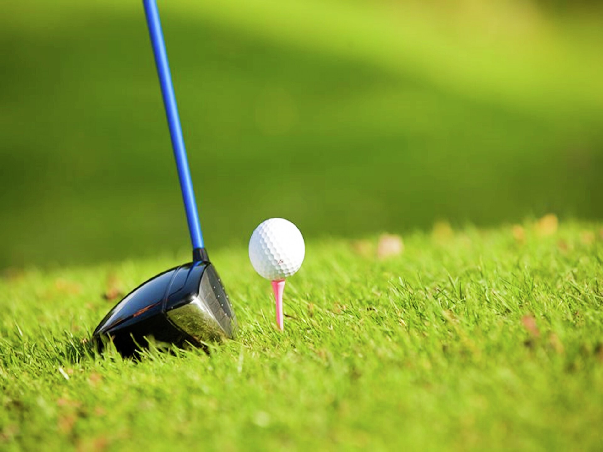 Landhuis Christian in bosrijk Vézac met gedeeld zwembad en golfbaan - foto 33