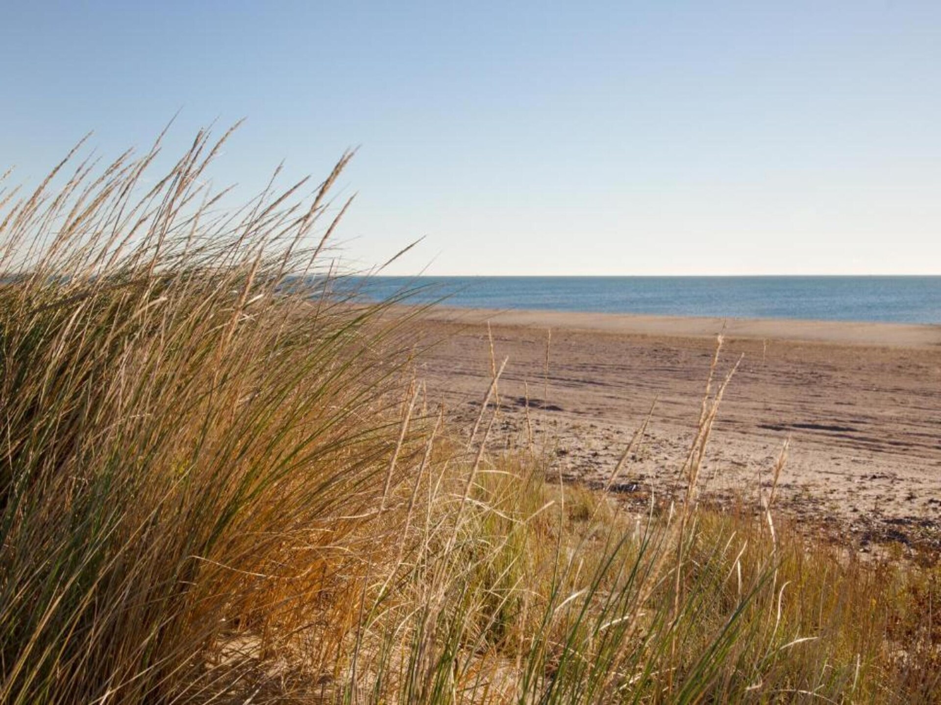 Ruim vakantiehuis voor 8 personen bij Utah Beach en historisch Normandië - foto 31