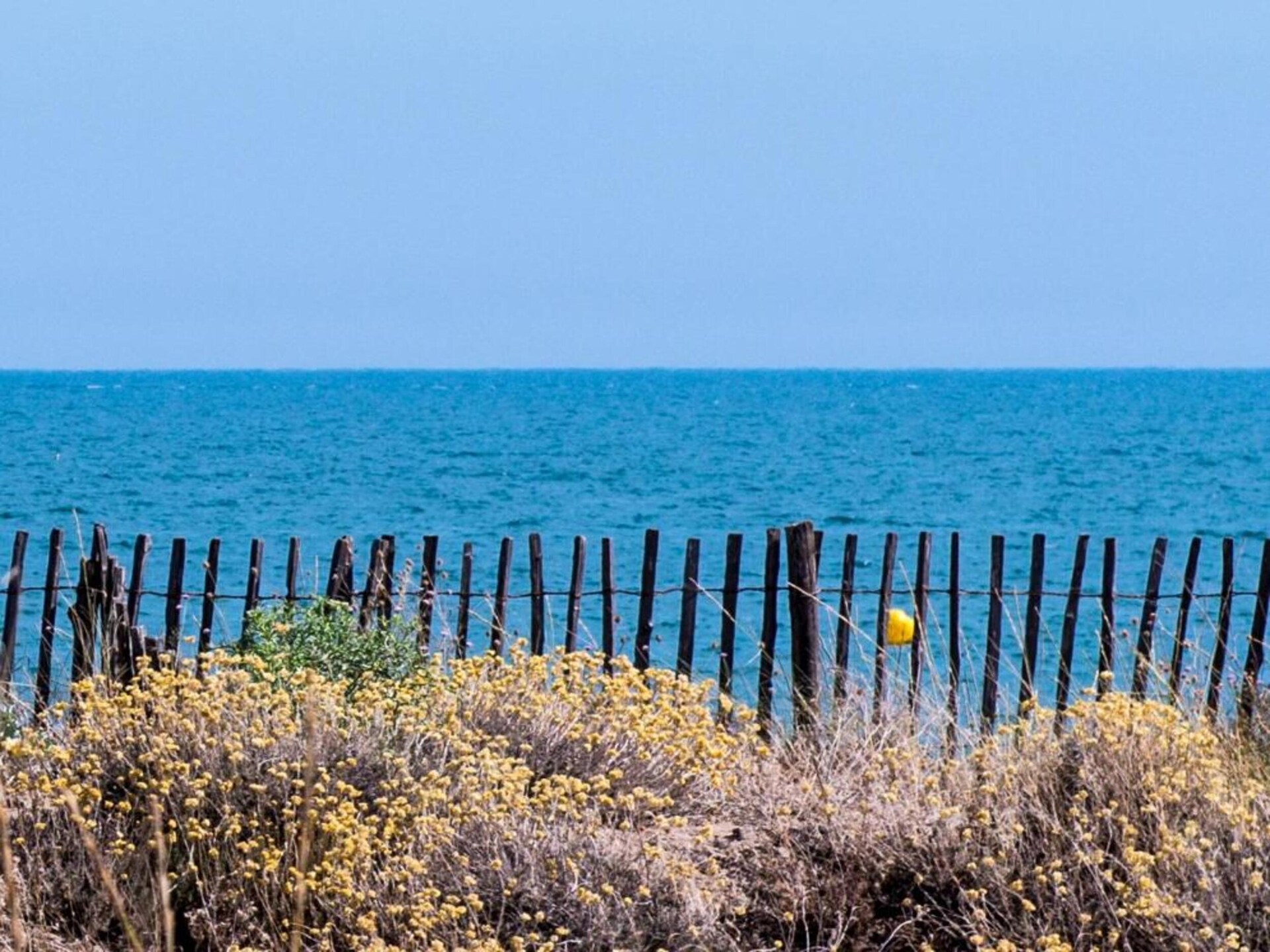 Ruim vakantiehuis voor 8 personen bij Utah Beach en historisch Normandië - foto 34