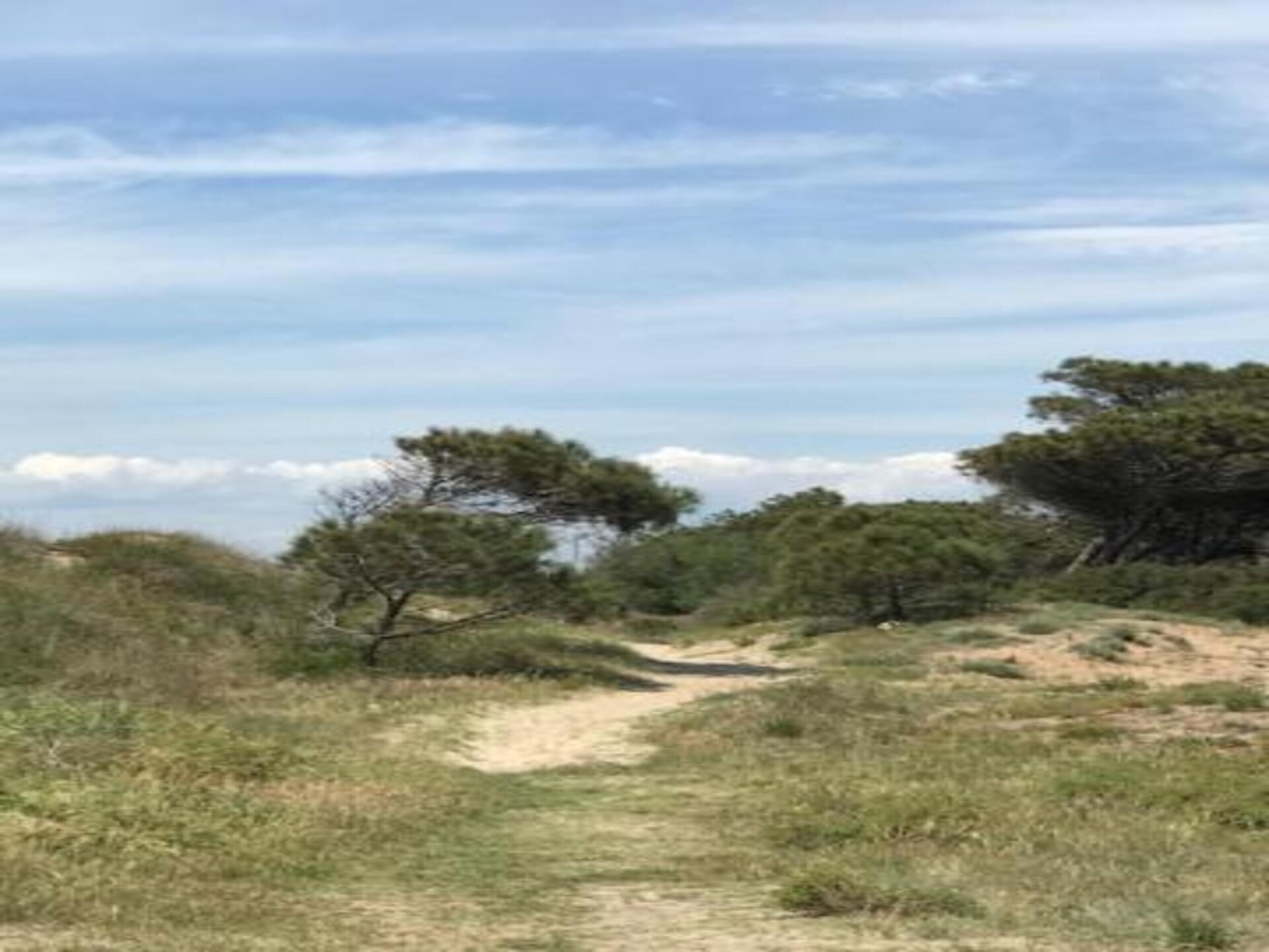 Ruim vakantiehuis voor 8 personen bij Utah Beach en historisch Normandië - foto 39