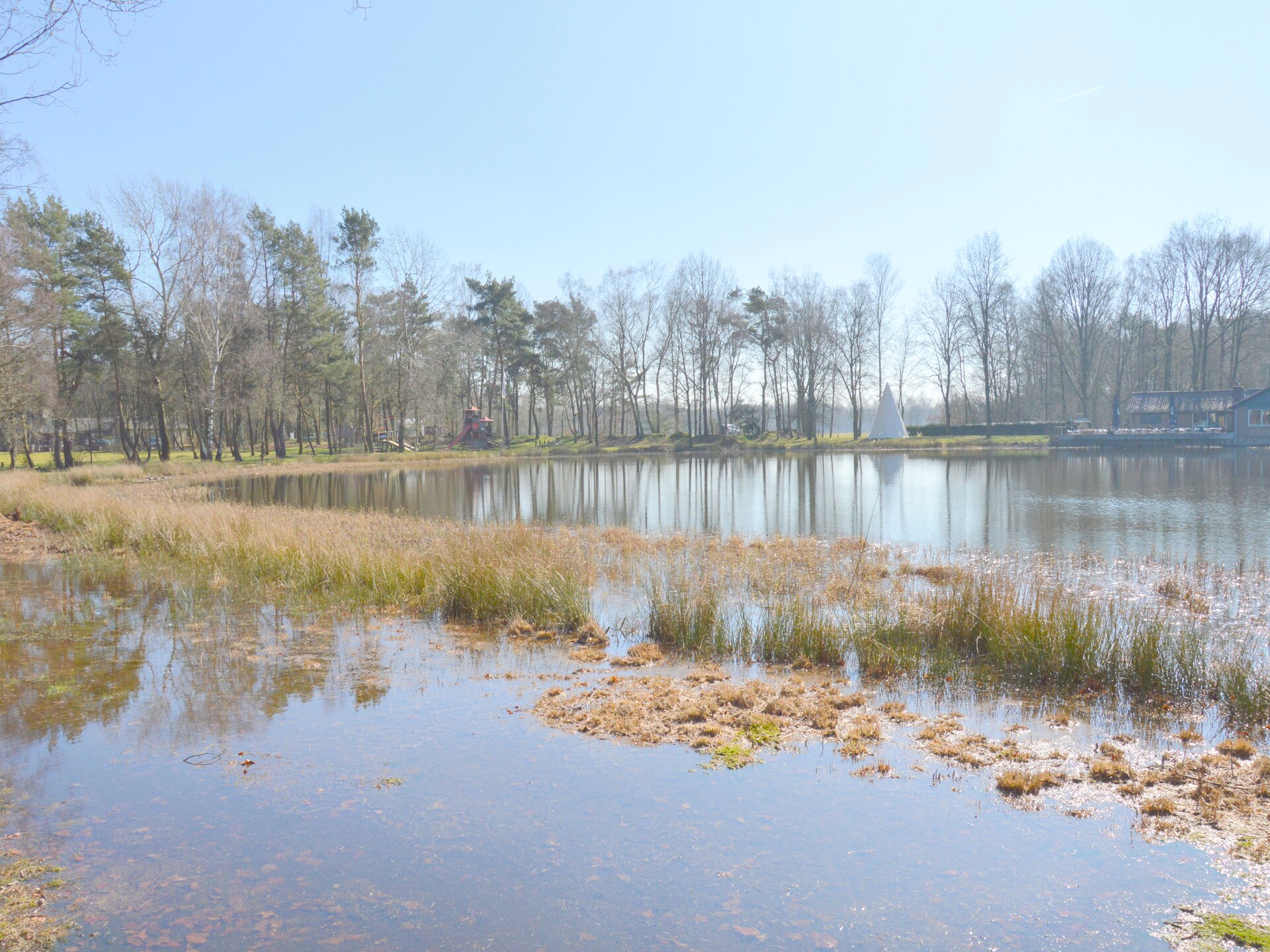 Vrijstaande boshut in Stramproy: natuur, rust en honden welkom - foto 33