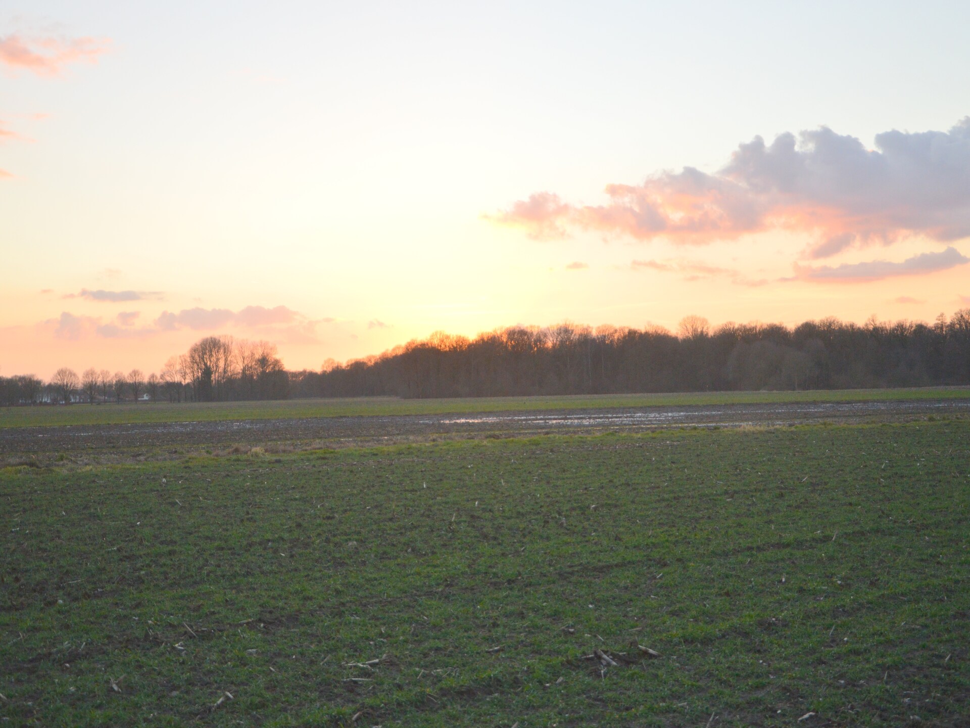 Vrijstaande boshut in Stramproy: natuur, rust en honden welkom - foto 39