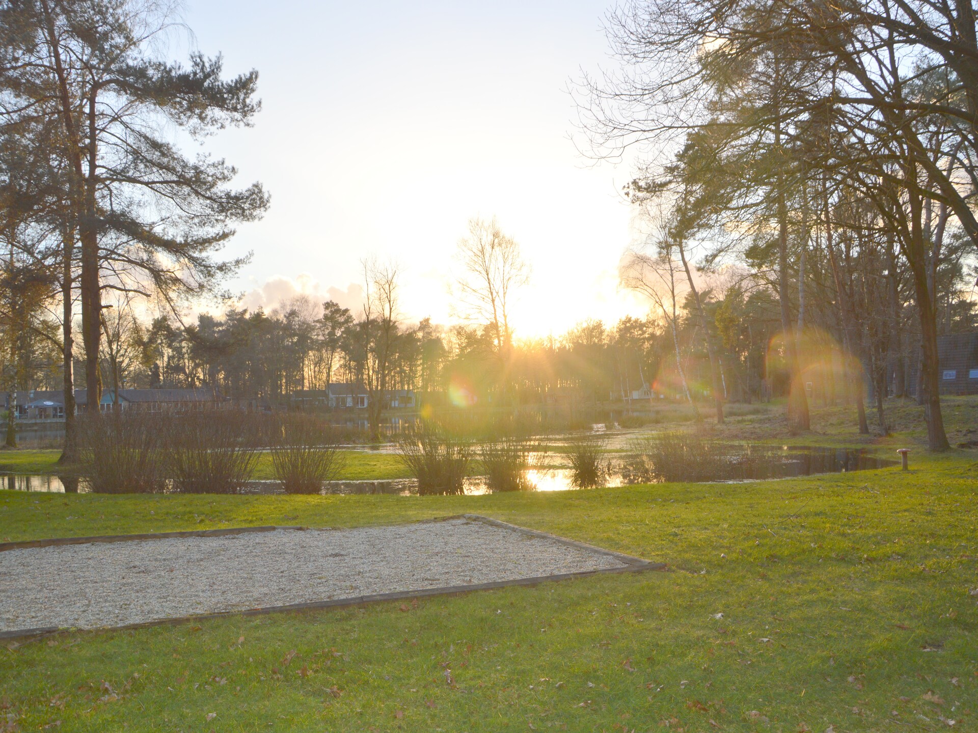 Vrijstaande boshut in Stramproy: natuur, rust en honden welkom - foto 26