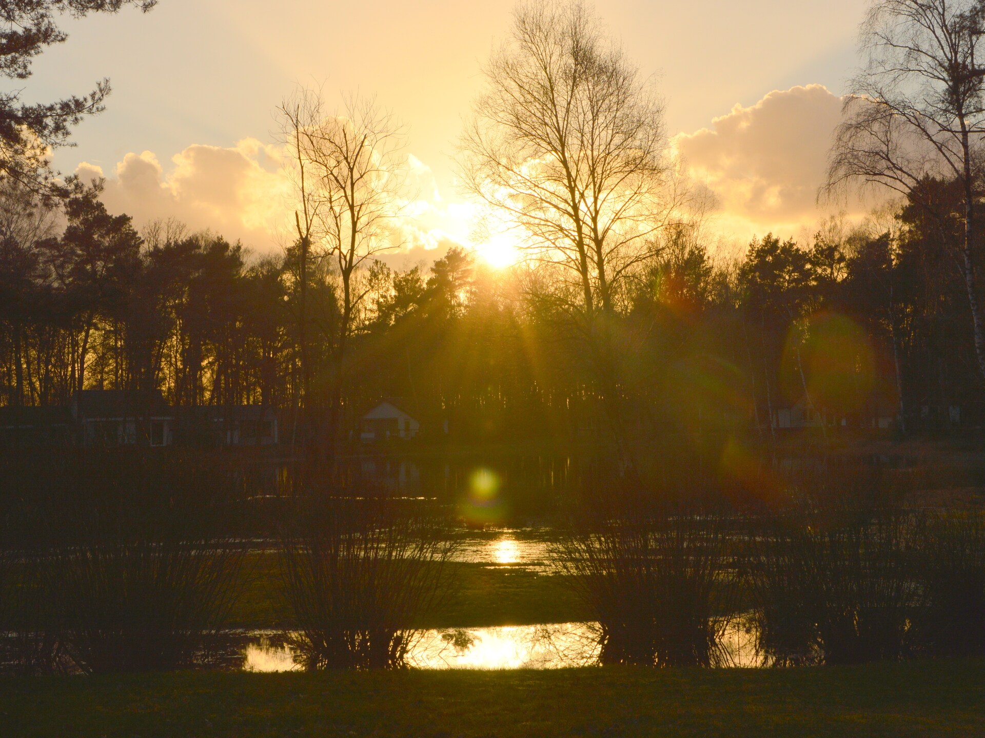 Vrijstaande boshut in Stramproy: natuur, rust en honden welkom - foto 34