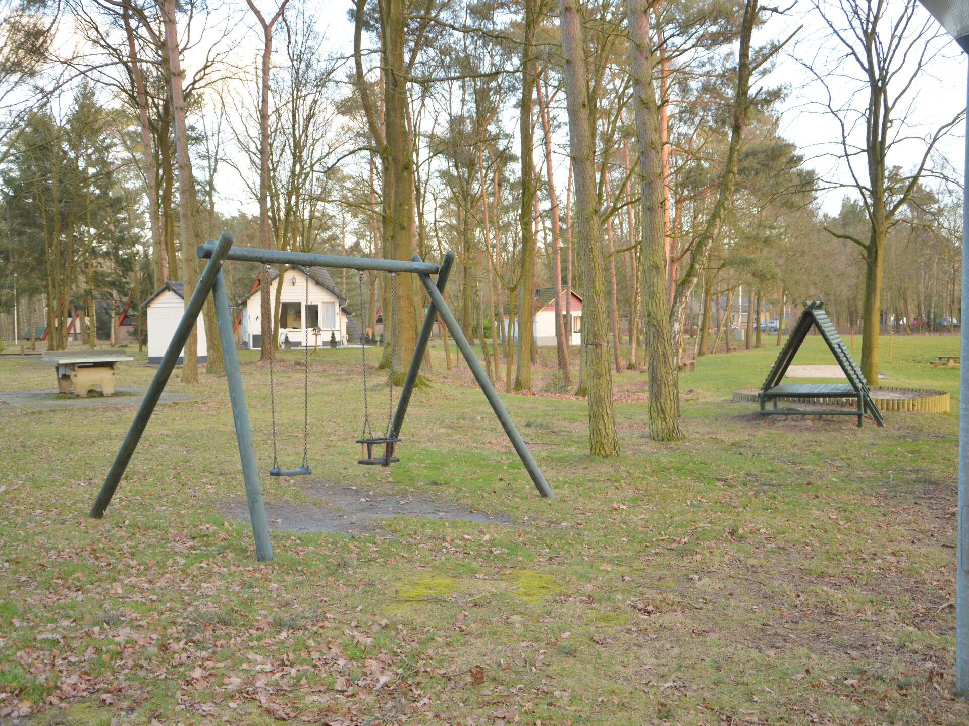 Vrijstaande boshut in Stramproy: natuur, rust en honden welkom - foto 31