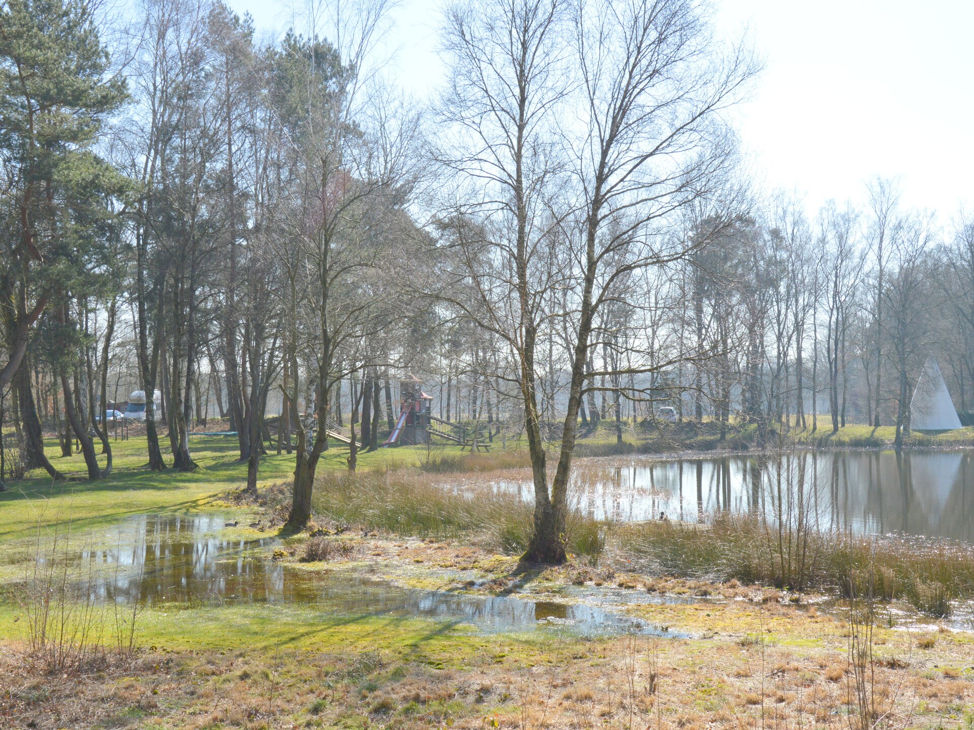 Vrijstaande boshut in Stramproy: natuur, rust en honden welkom - foto 35
