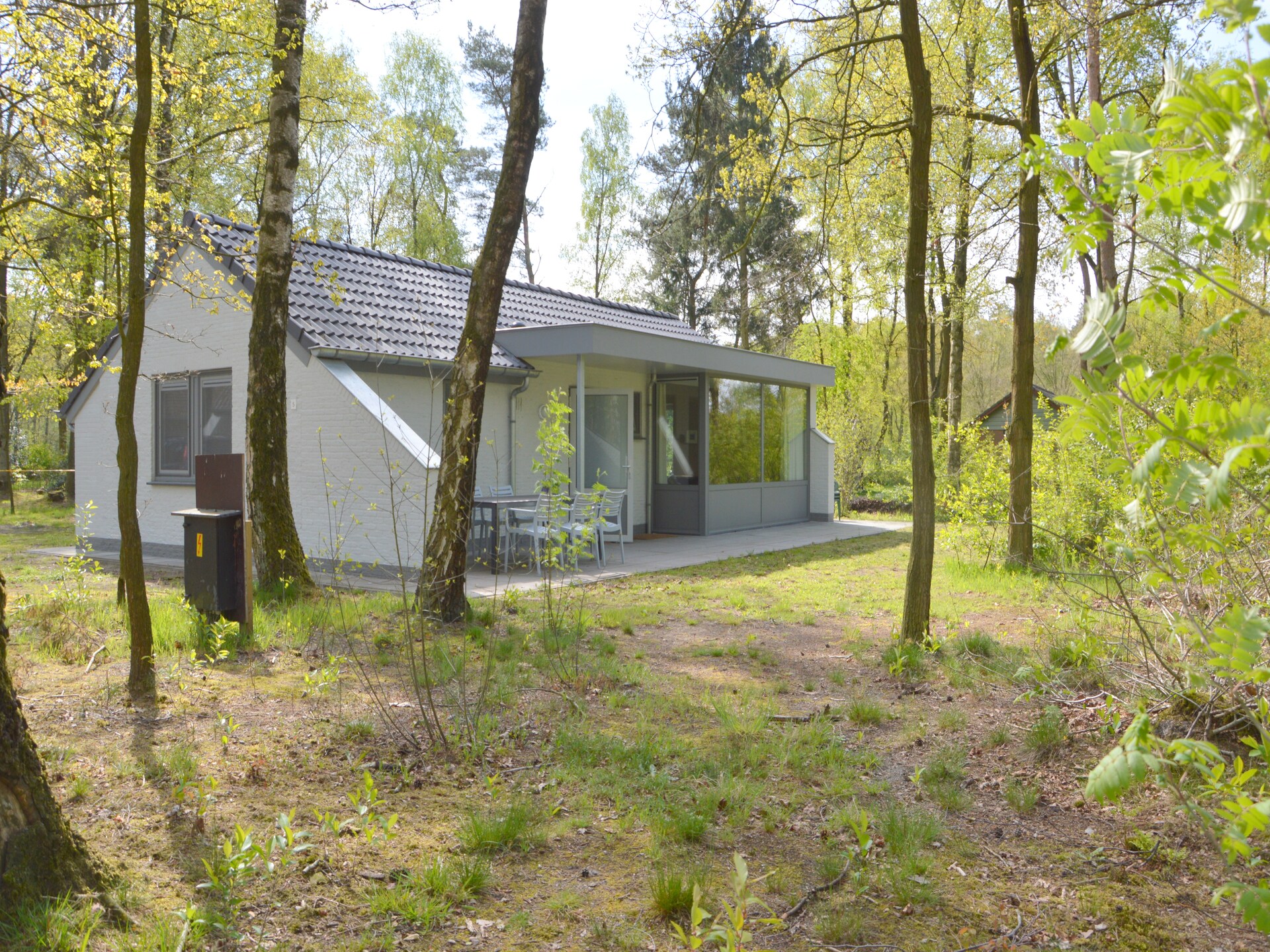 Vrijstaande boshut in Stramproy: natuur, rust en honden welkom - foto 23