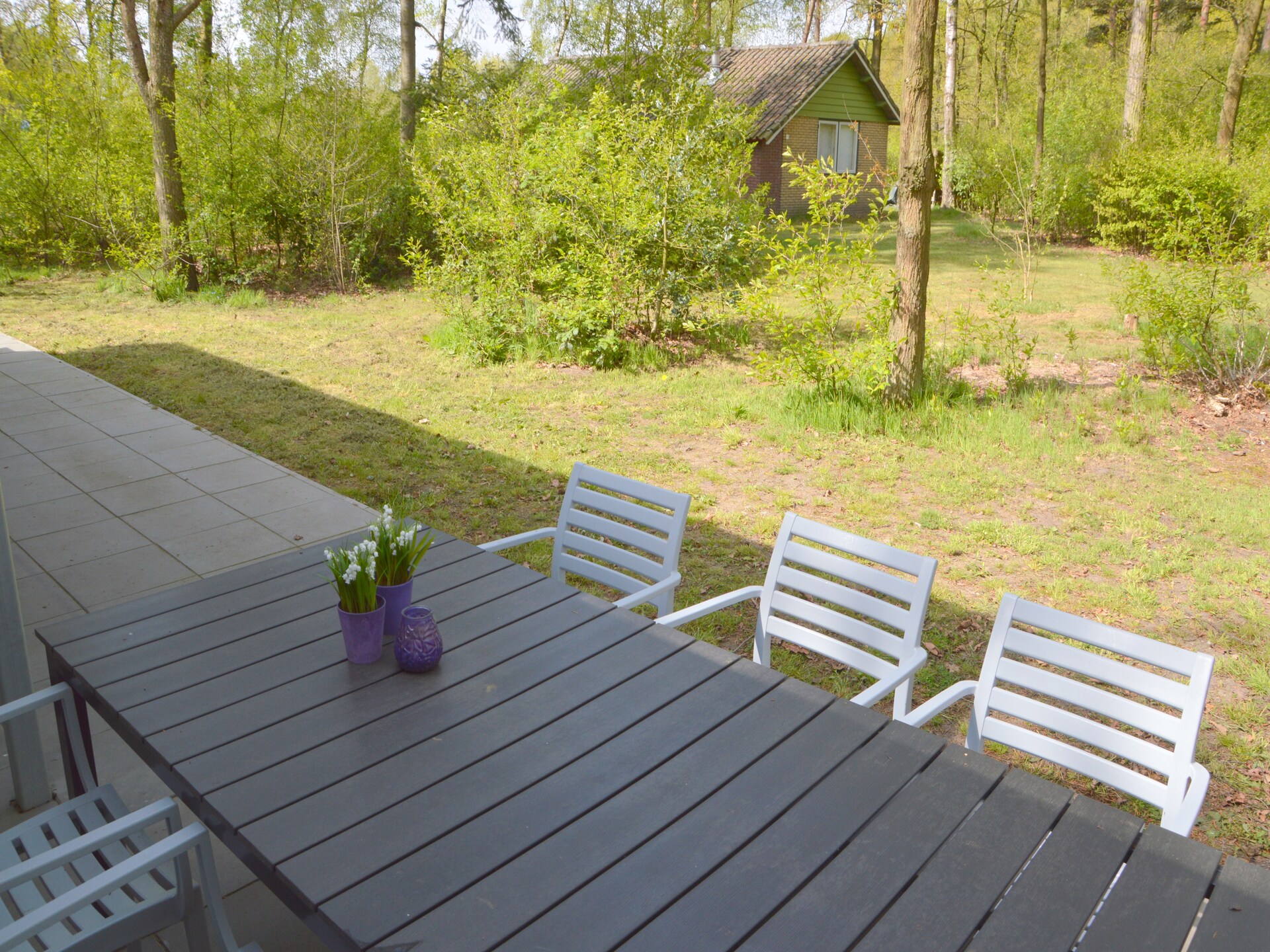 Vrijstaande boshut in Stramproy: natuur, rust en honden welkom - foto 25