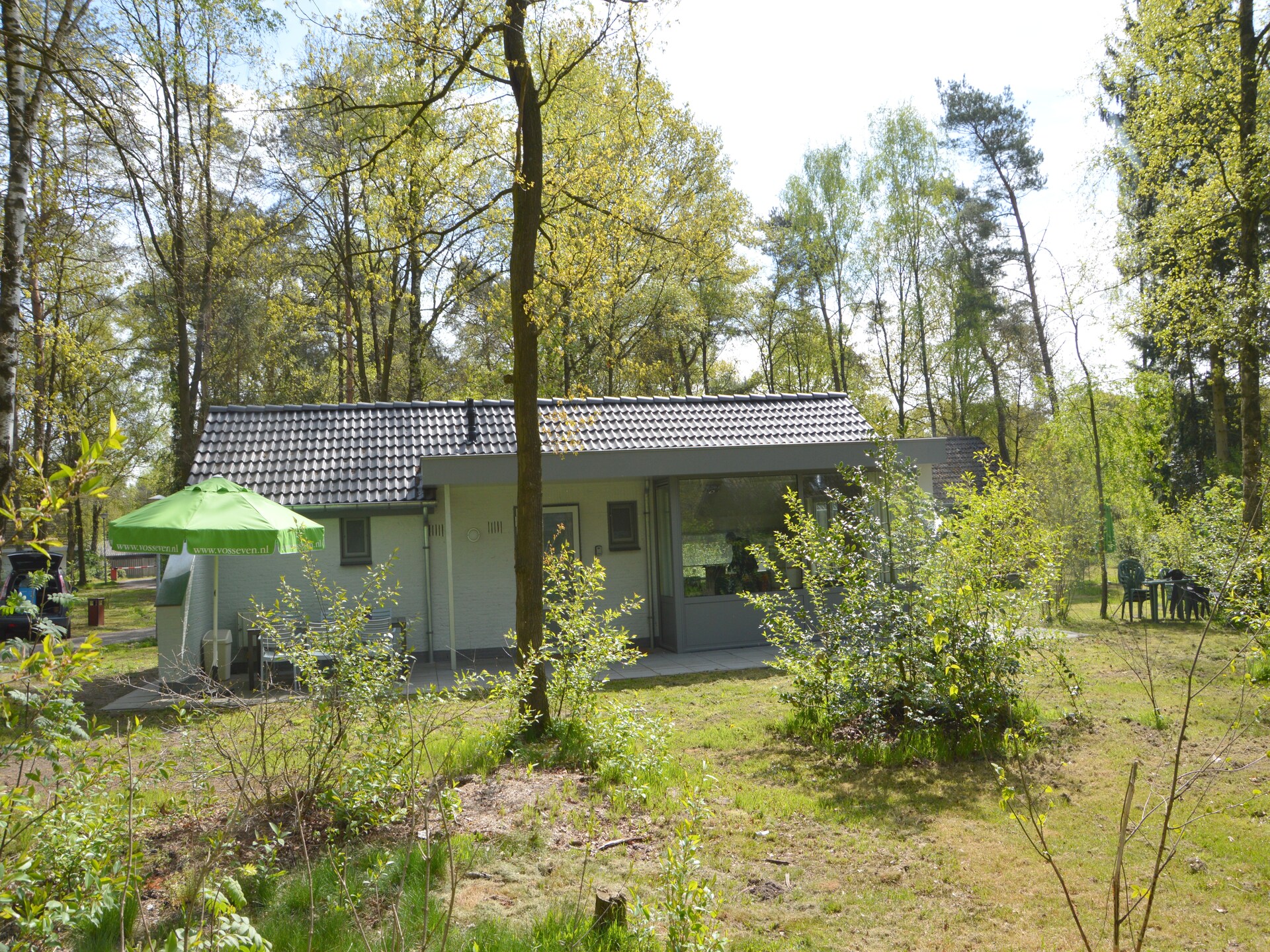 Vrijstaande boshut in Stramproy: natuur, rust en honden welkom - foto 24
