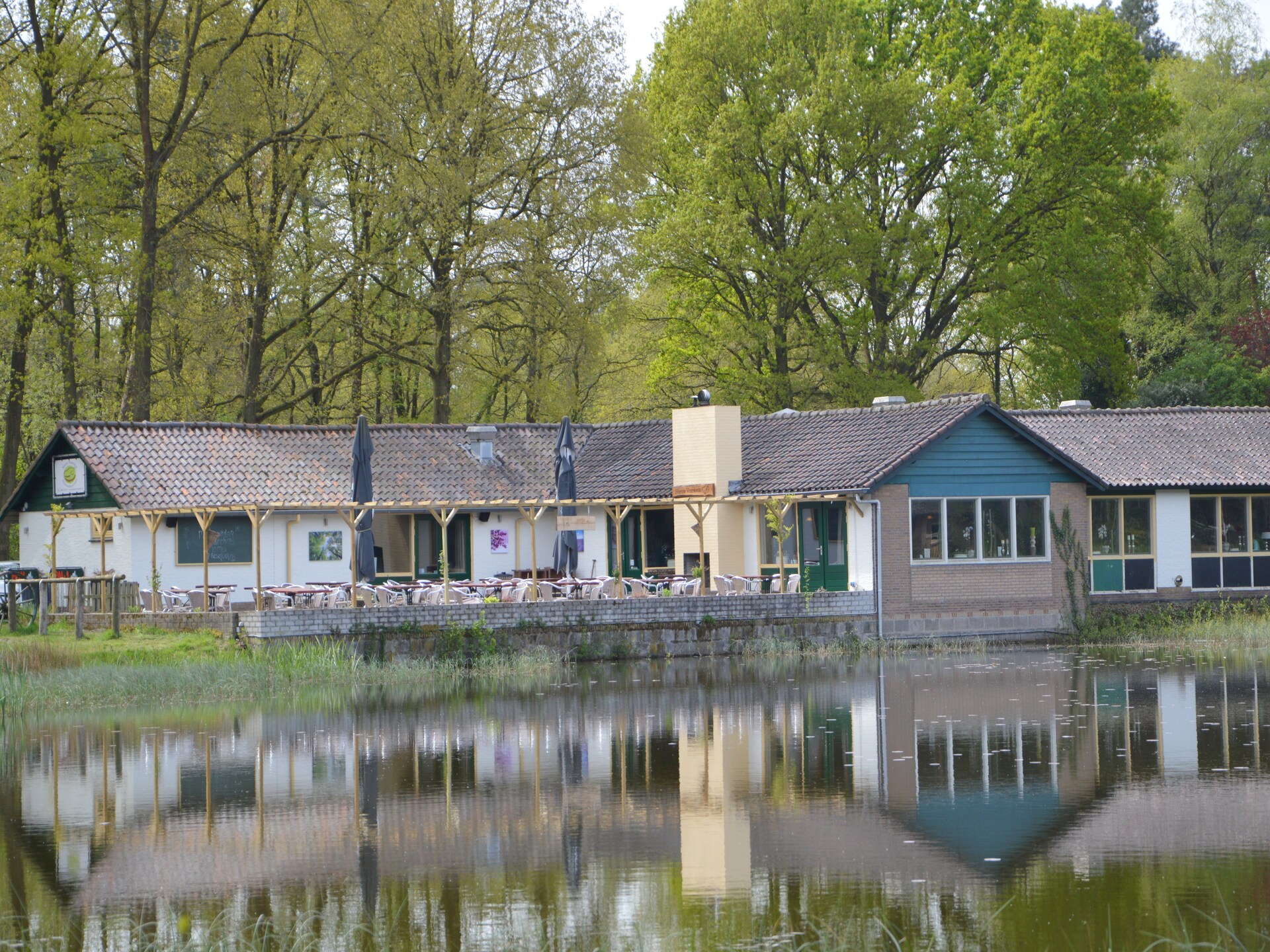 Vrijstaande boshut in Stramproy: natuur, rust en honden welkom - foto 32