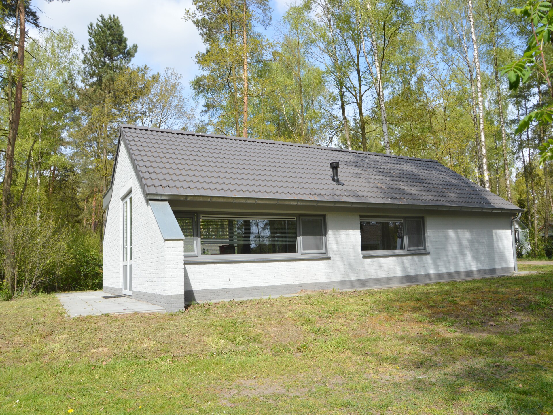 Vrijstaande boshut in Stramproy: natuur, rust en honden welkom - foto 6