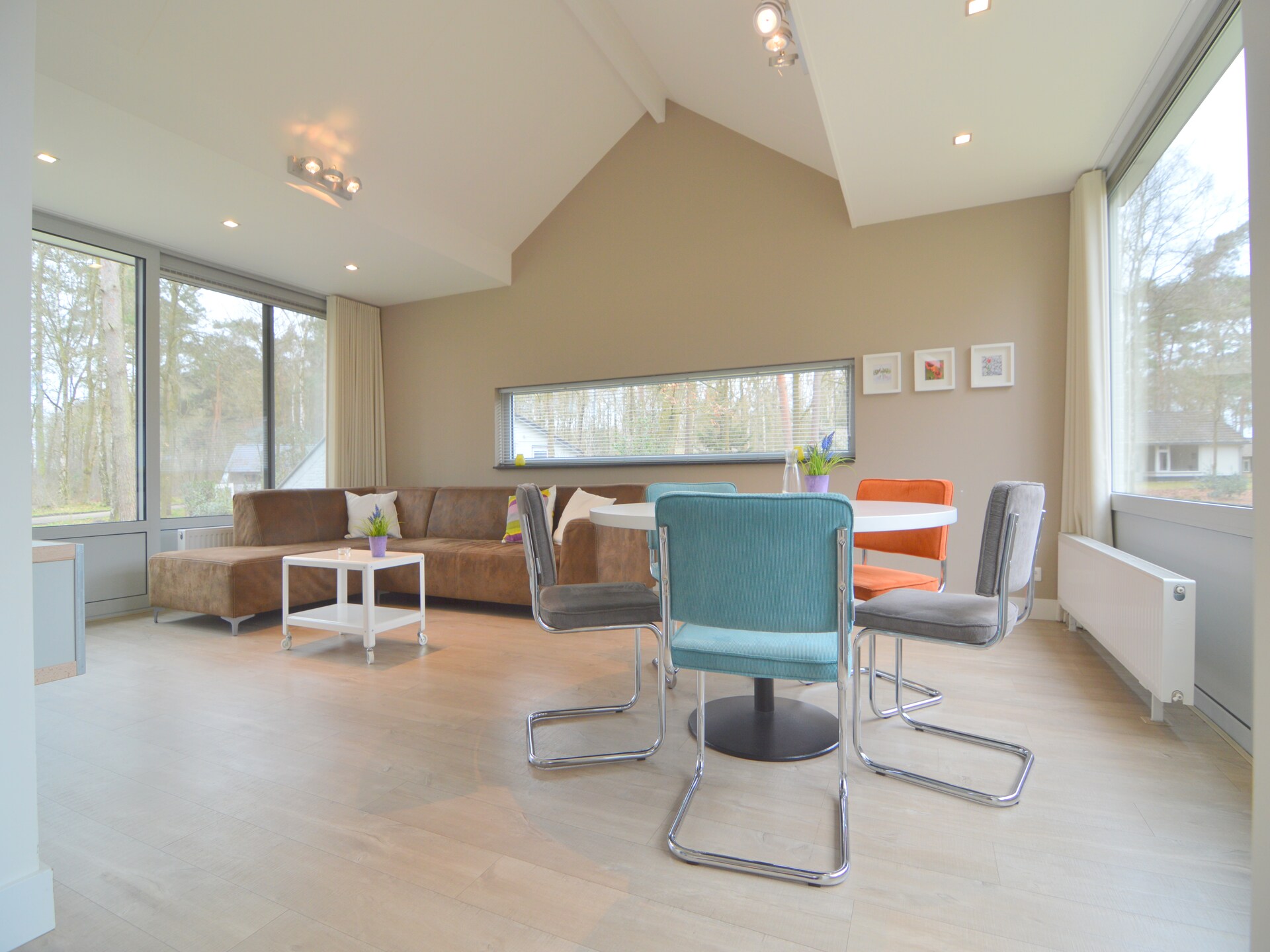 Bosrijke bungalow in Stramproy met tuin, huisdieren welkom - foto 3