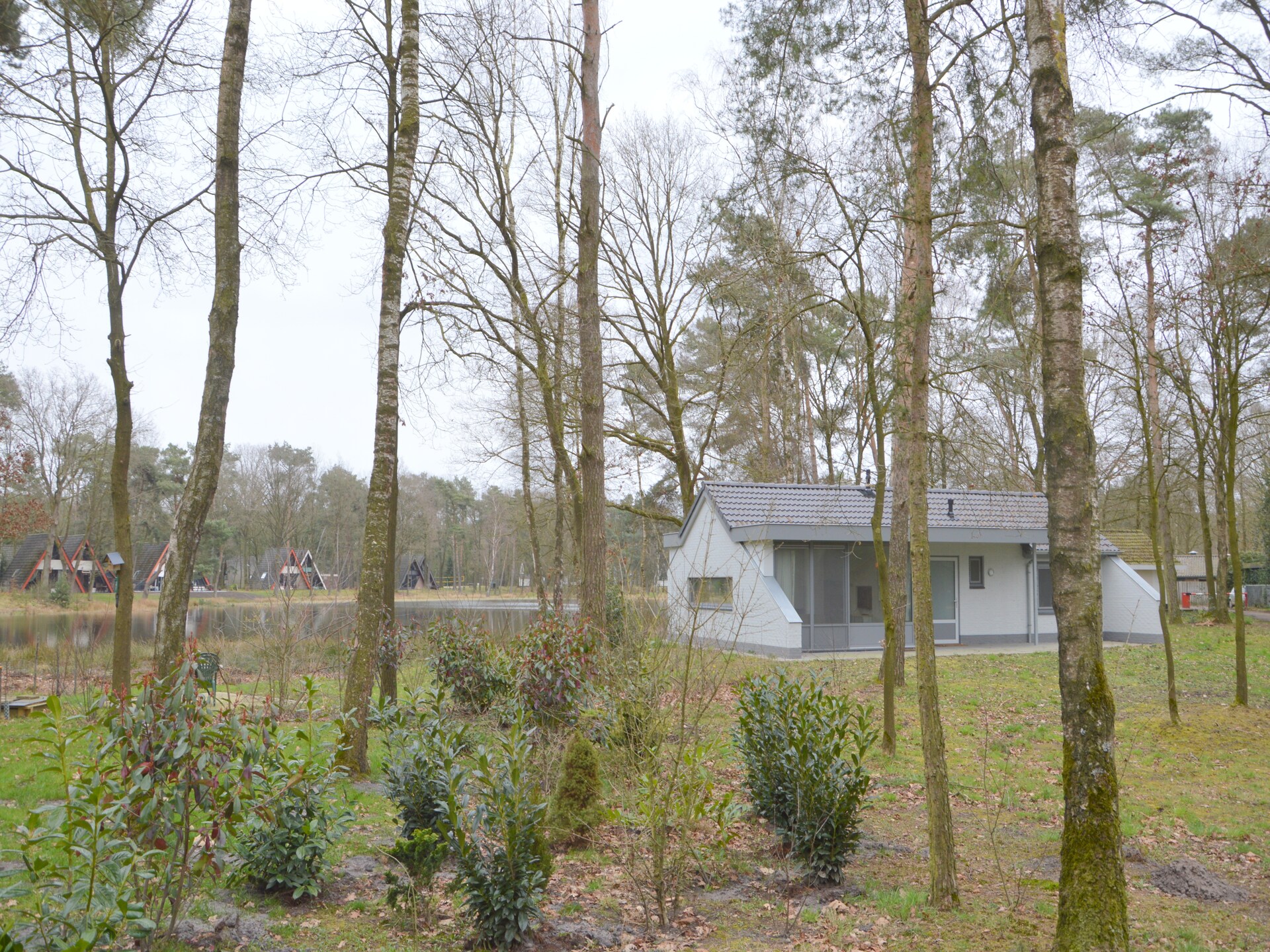 Bosrijke bungalow in Stramproy met tuin, huisdieren welkom - foto 24
