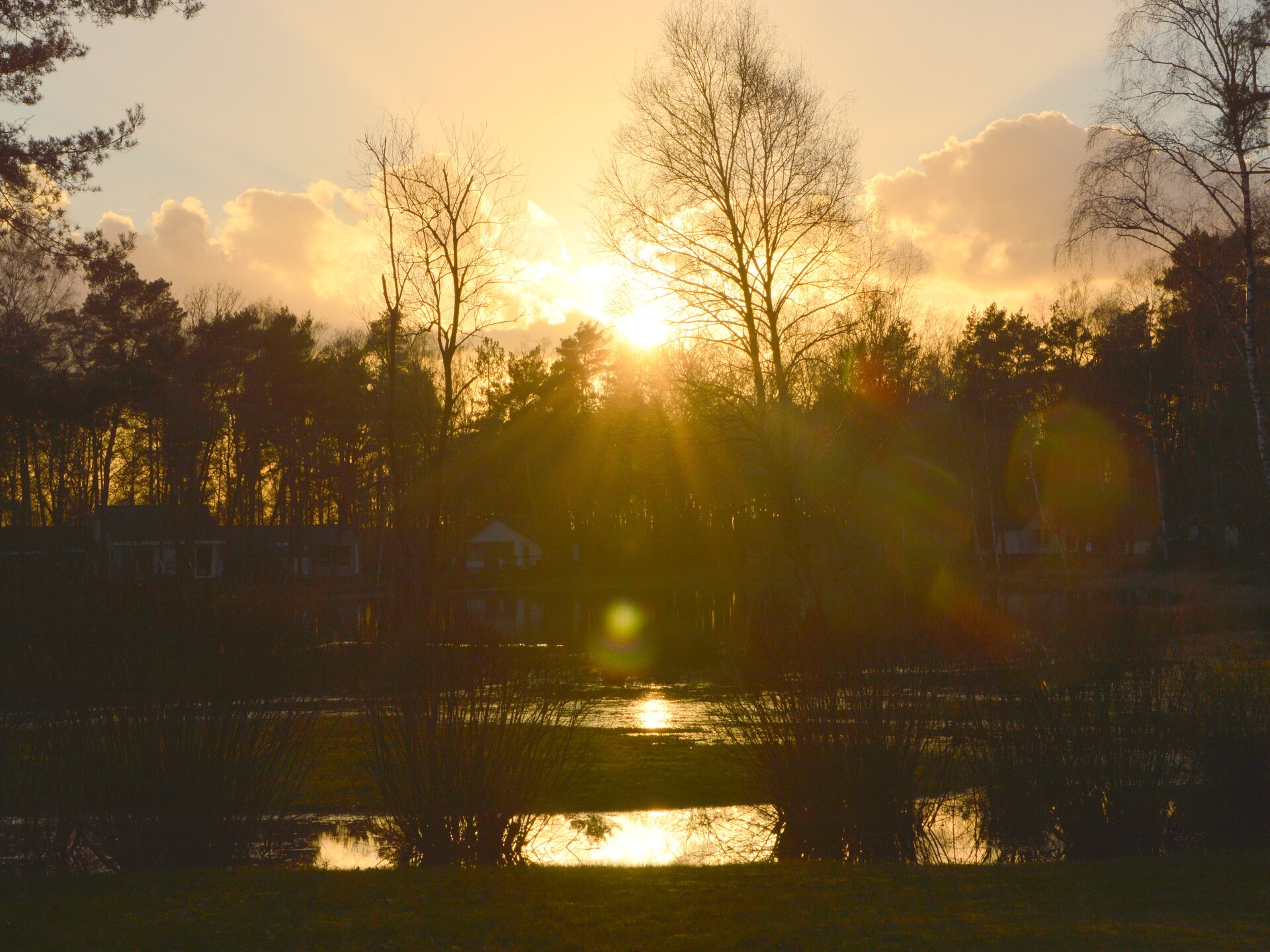 Bosrijke bungalow in Stramproy met tuin, huisdieren welkom - foto 26
