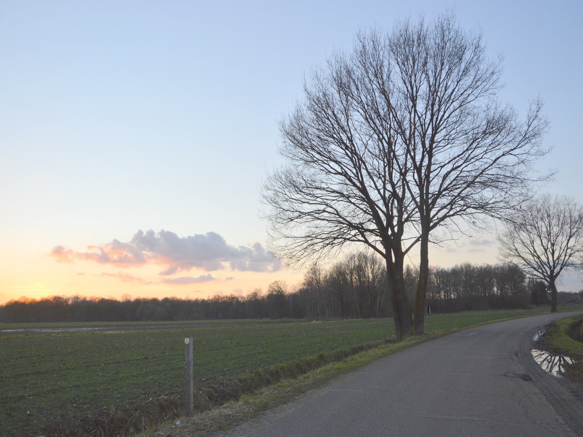 Bosrijke bungalow in Stramproy met tuin, huisdieren welkom - foto 32