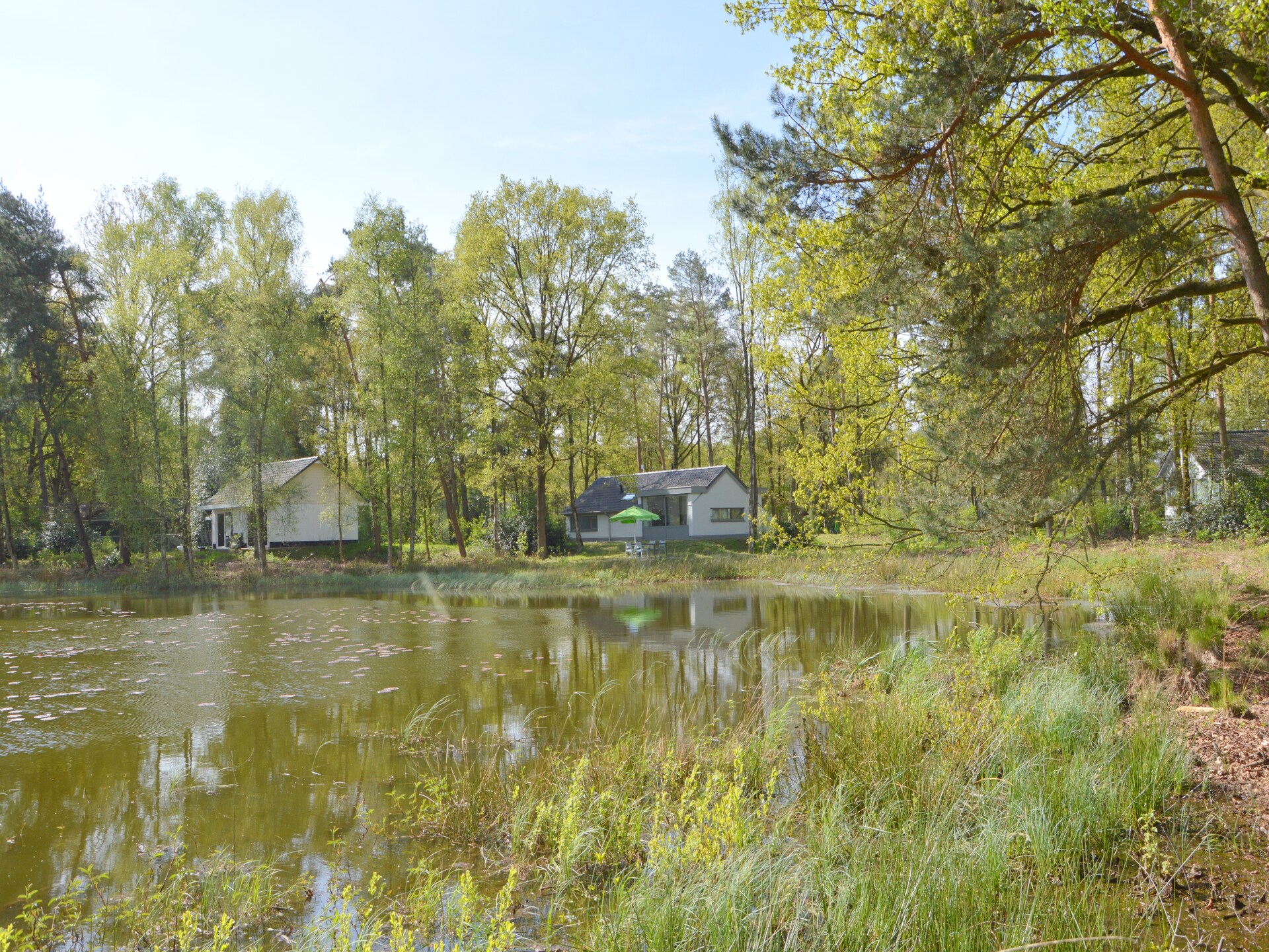 Bosrijke bungalow in Stramproy met tuin, huisdieren welkom - foto 23