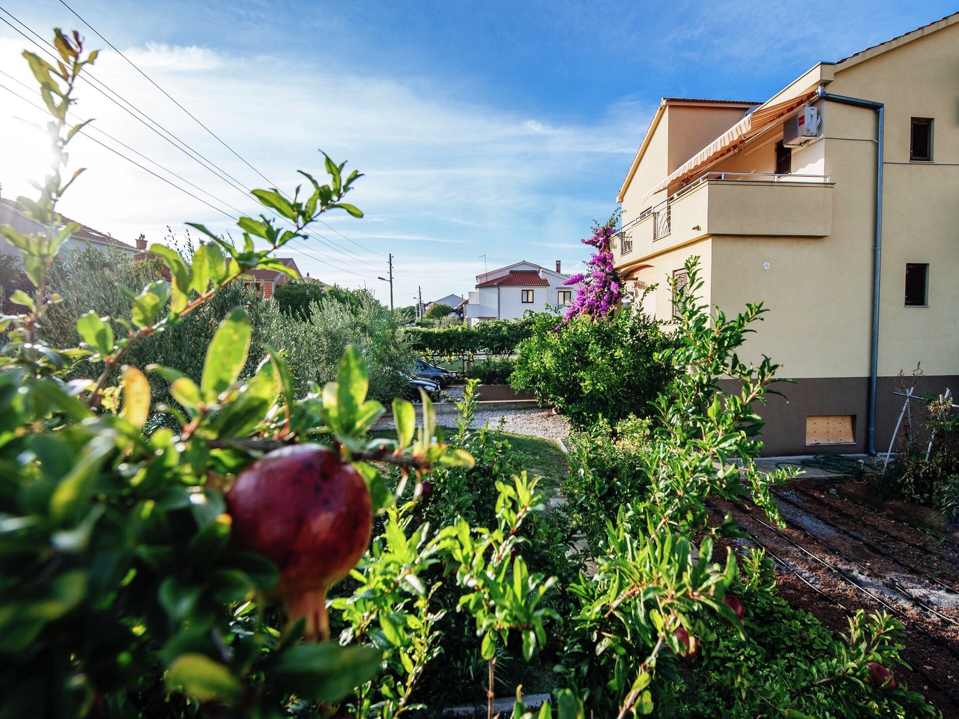 3-persoons appartement in Biograd na Moru op 1 km van zee - foto 16