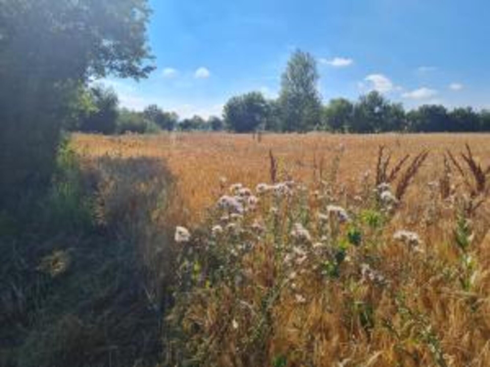 Landelijk appartement bij Castiglion Fiorentino met gedeeld zwembad - foto 28