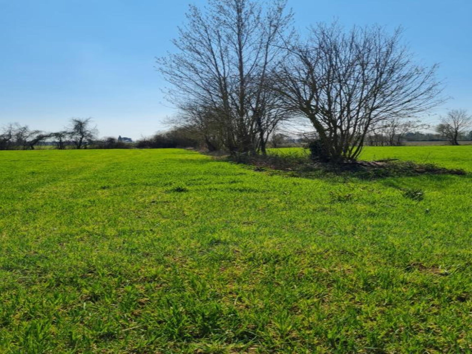 Landelijk appartement bij Castiglion Fiorentino met gedeeld zwembad - foto 29