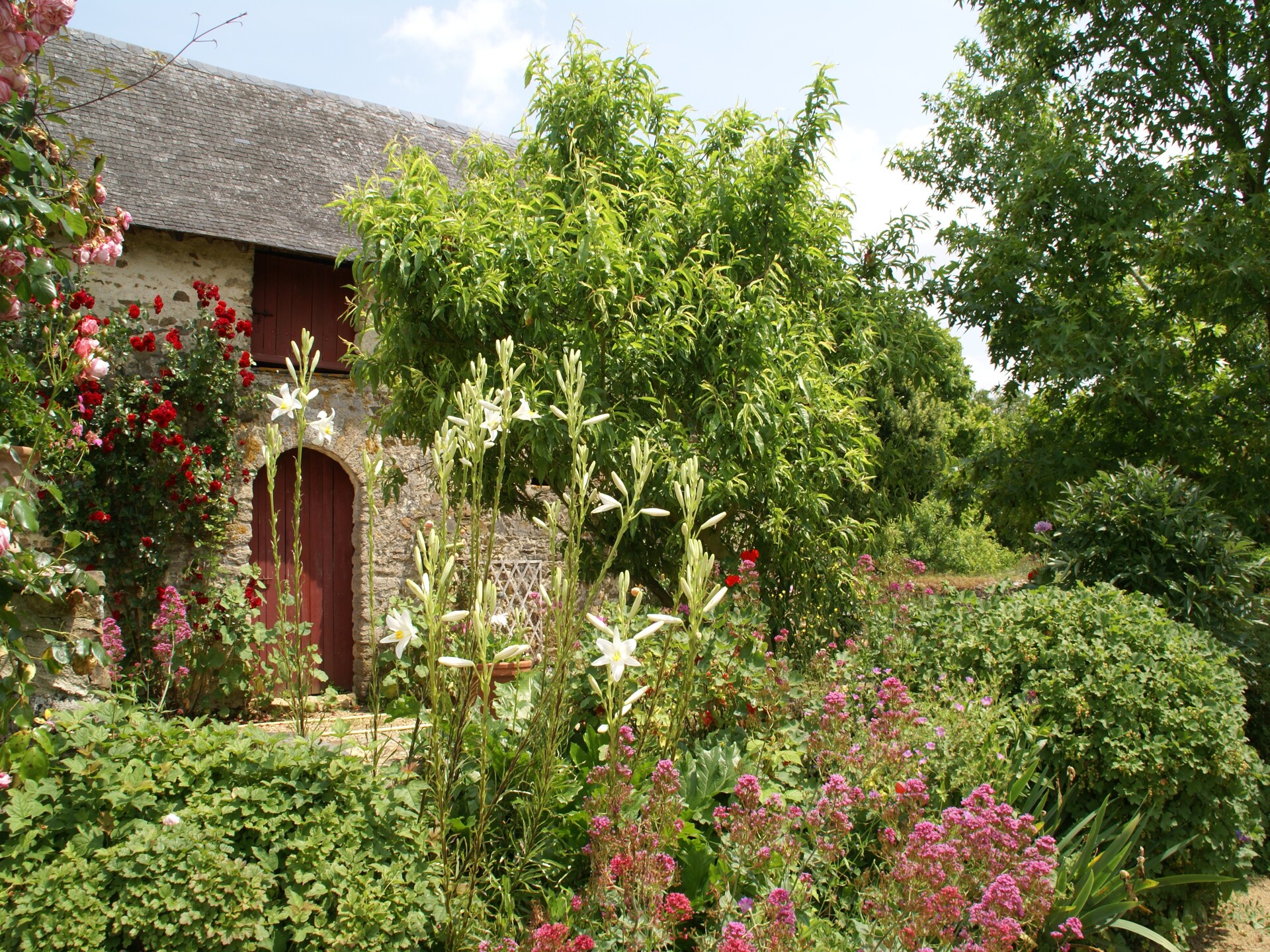 Authentiek 16e-eeuws vakantiehuis in rustige Loirestreek met tuin en golf - foto 27