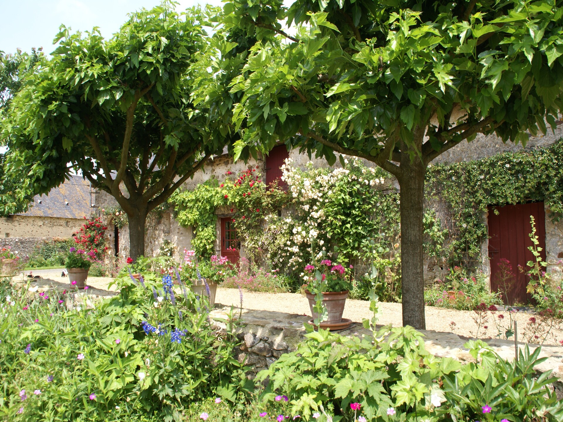 Authentiek 16e-eeuws vakantiehuis in rustige Loirestreek met tuin en golf - foto 26