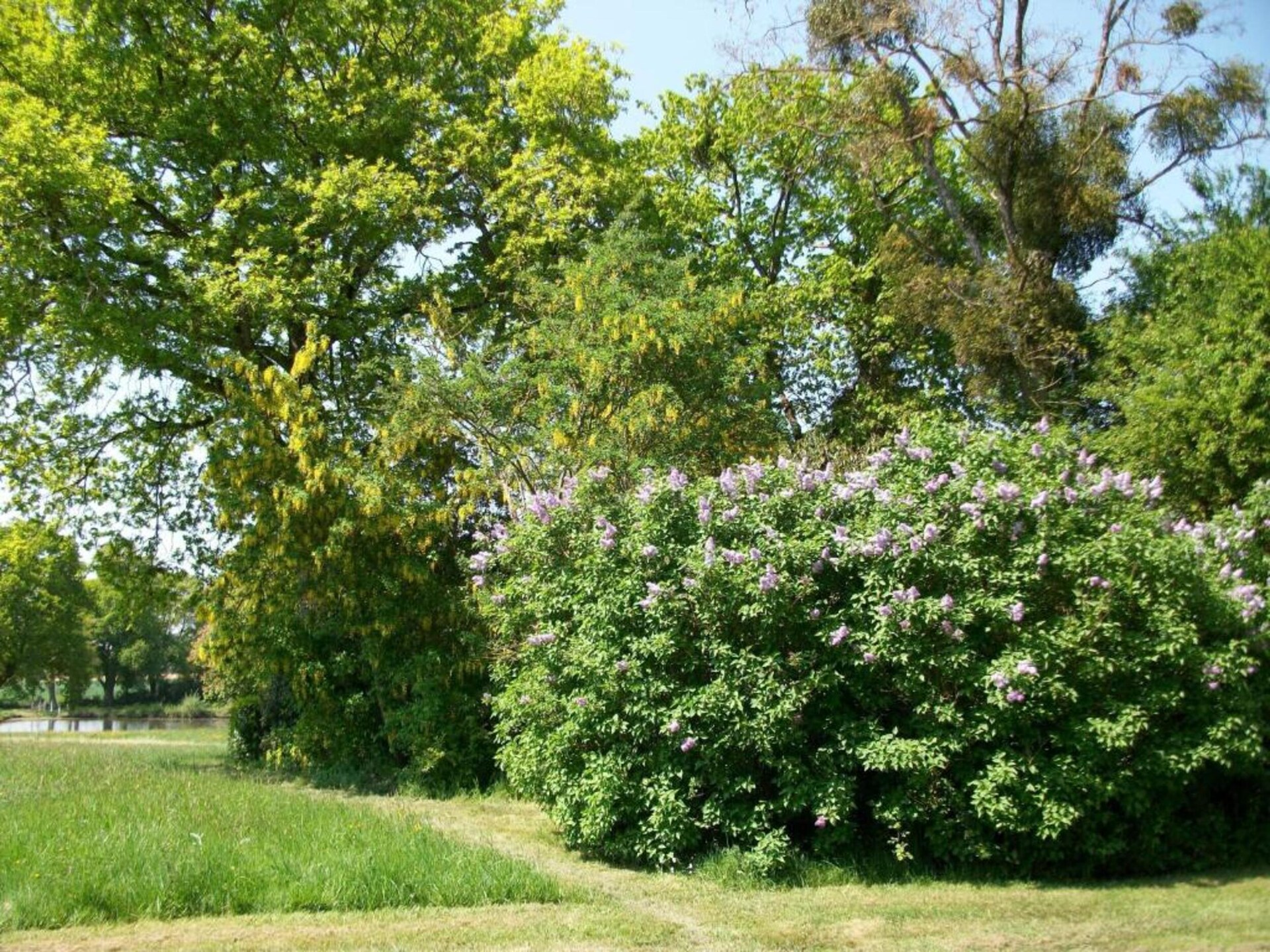 Authentiek 16e-eeuws vakantiehuis in rustige Loirestreek met tuin en golf - foto 37