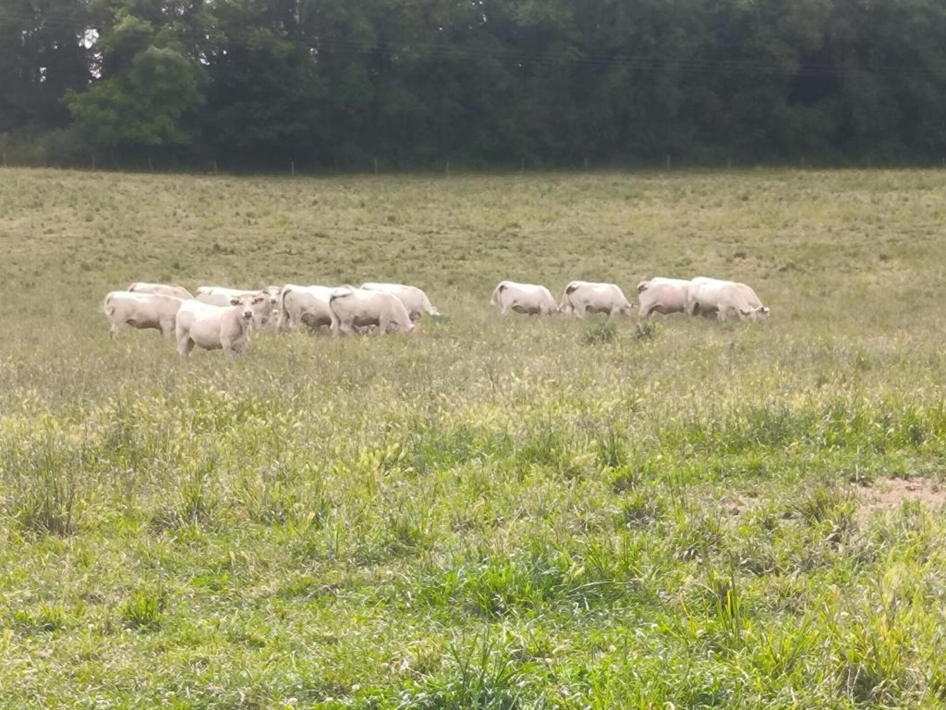 Romantisch vakantiehuis voor 2 aan de golfbaan in Sossay met tuin - foto 26
