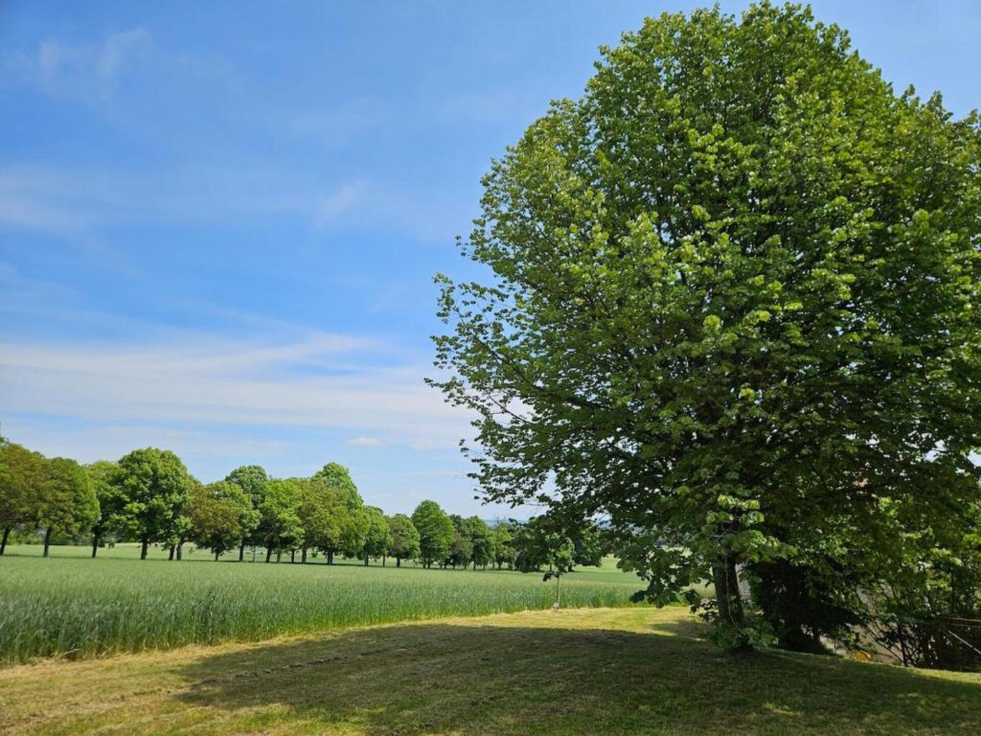 Romantisch vakantiehuis voor 2 aan de golfbaan in Sossay met tuin - foto 27