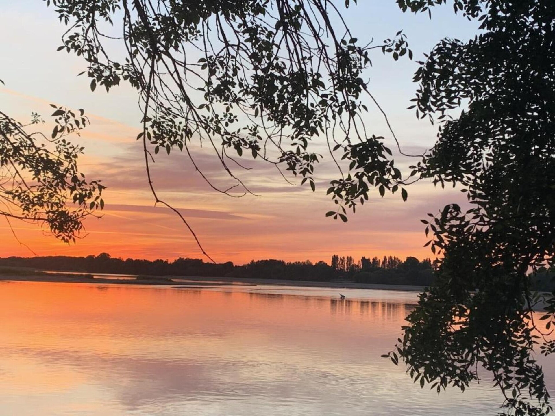 Romantisch vakantiehuis aan de Loire met zwembad, nabij Brion - foto 36