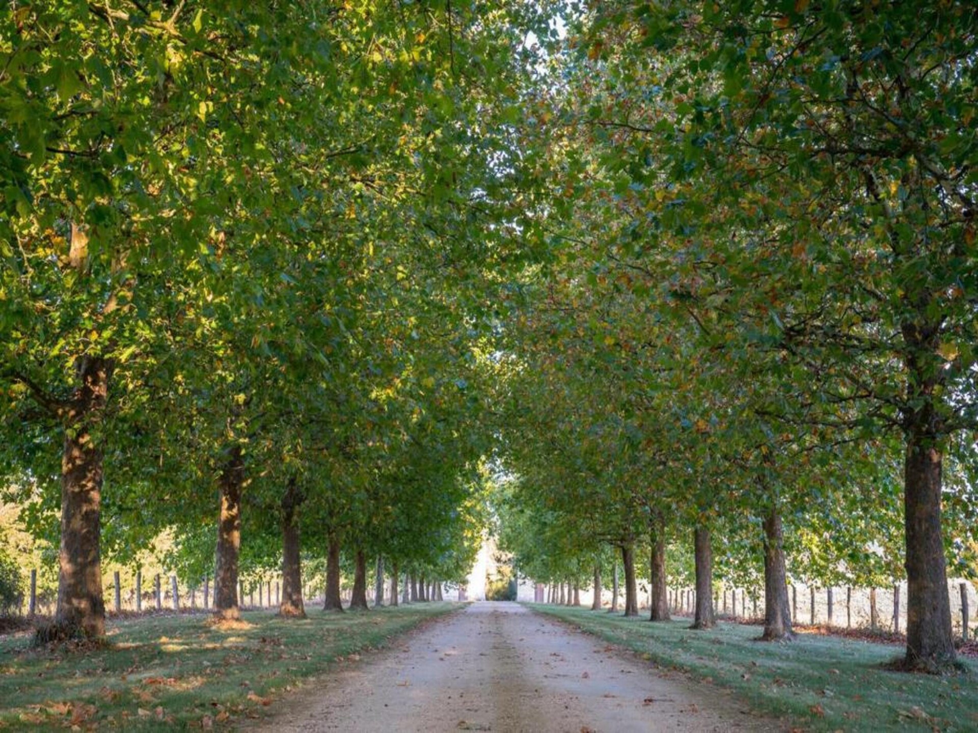 Romantisch vakantiehuis aan de Loire met zwembad, nabij Brion - foto 31