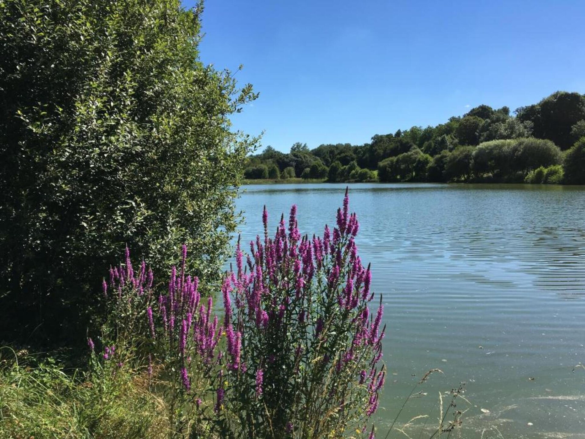 Ruim vakantiehuis met privézwembad en open haard in Saint-Laurent-de-la-Salle - foto 36